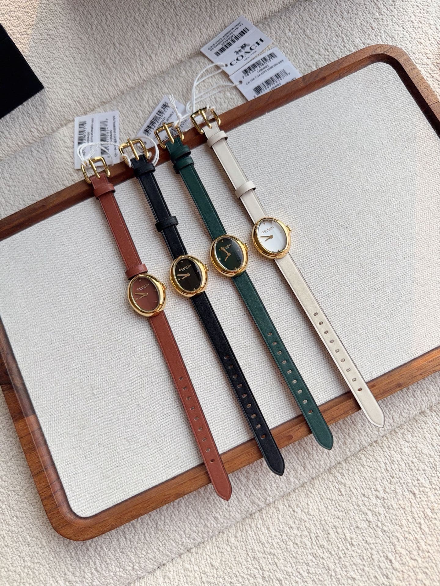 Luxury Watch Black Bag