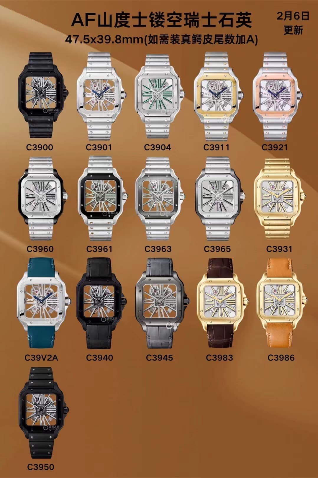 Cartier Watch