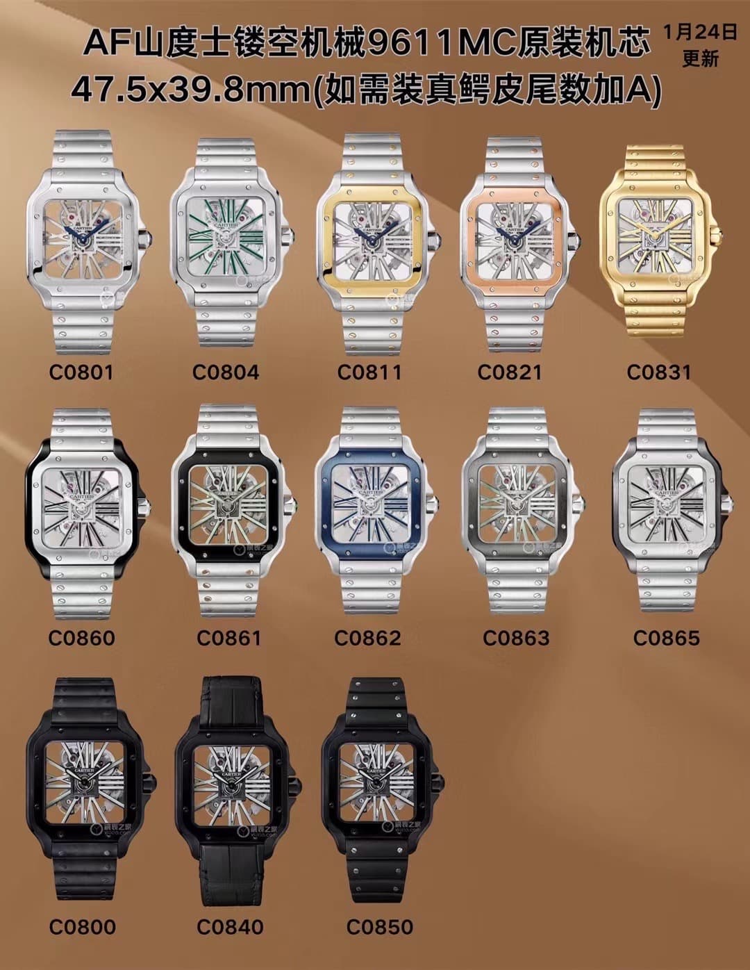 Cartier Watch