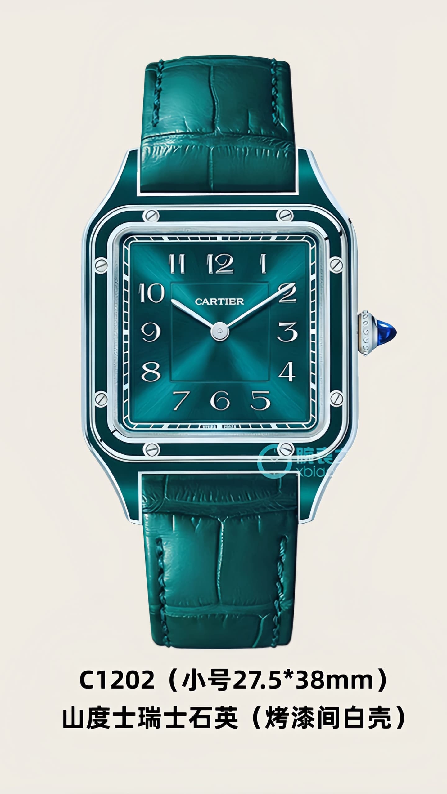 Cartier Watch