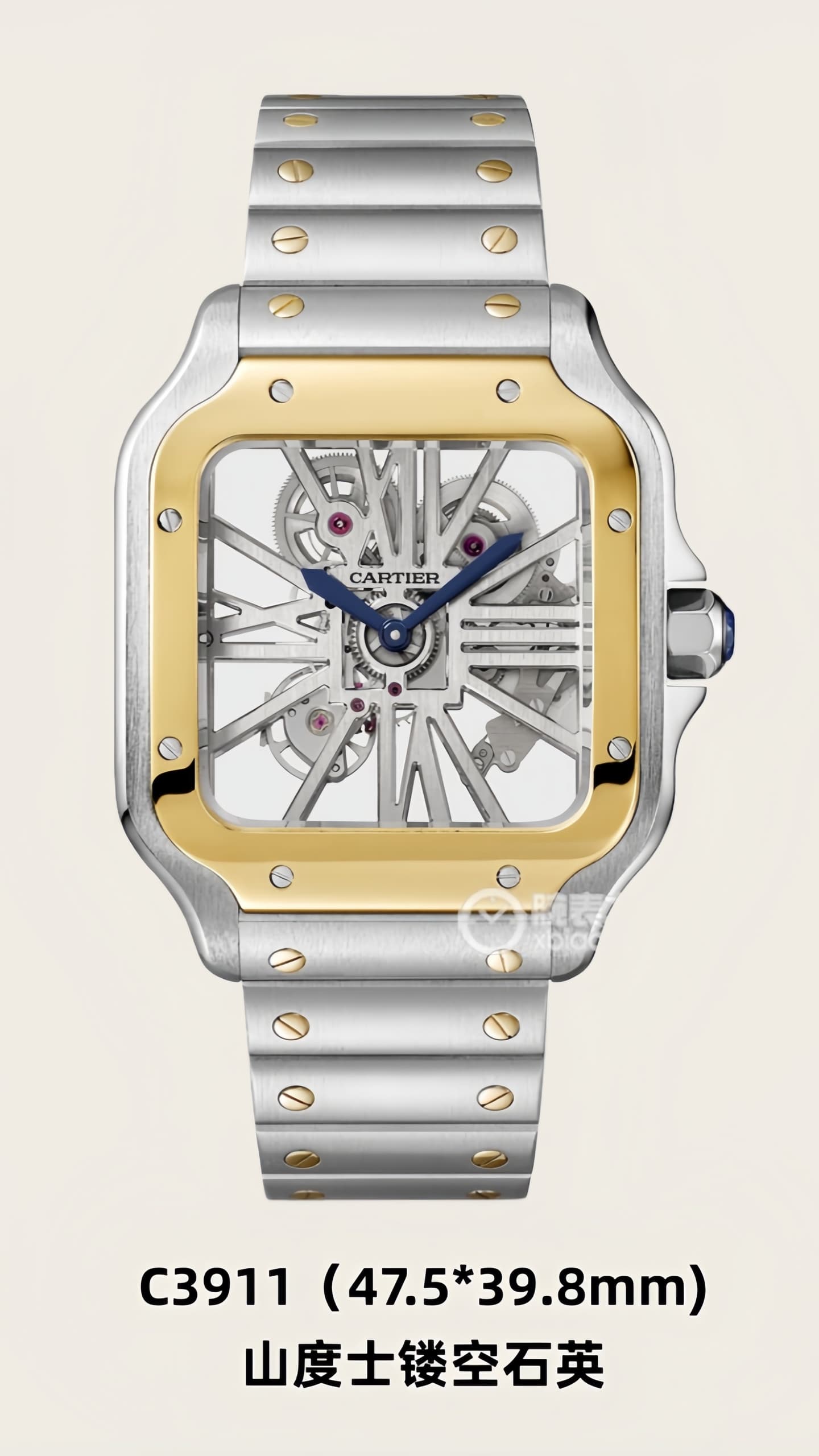 Luxury Watch Product
