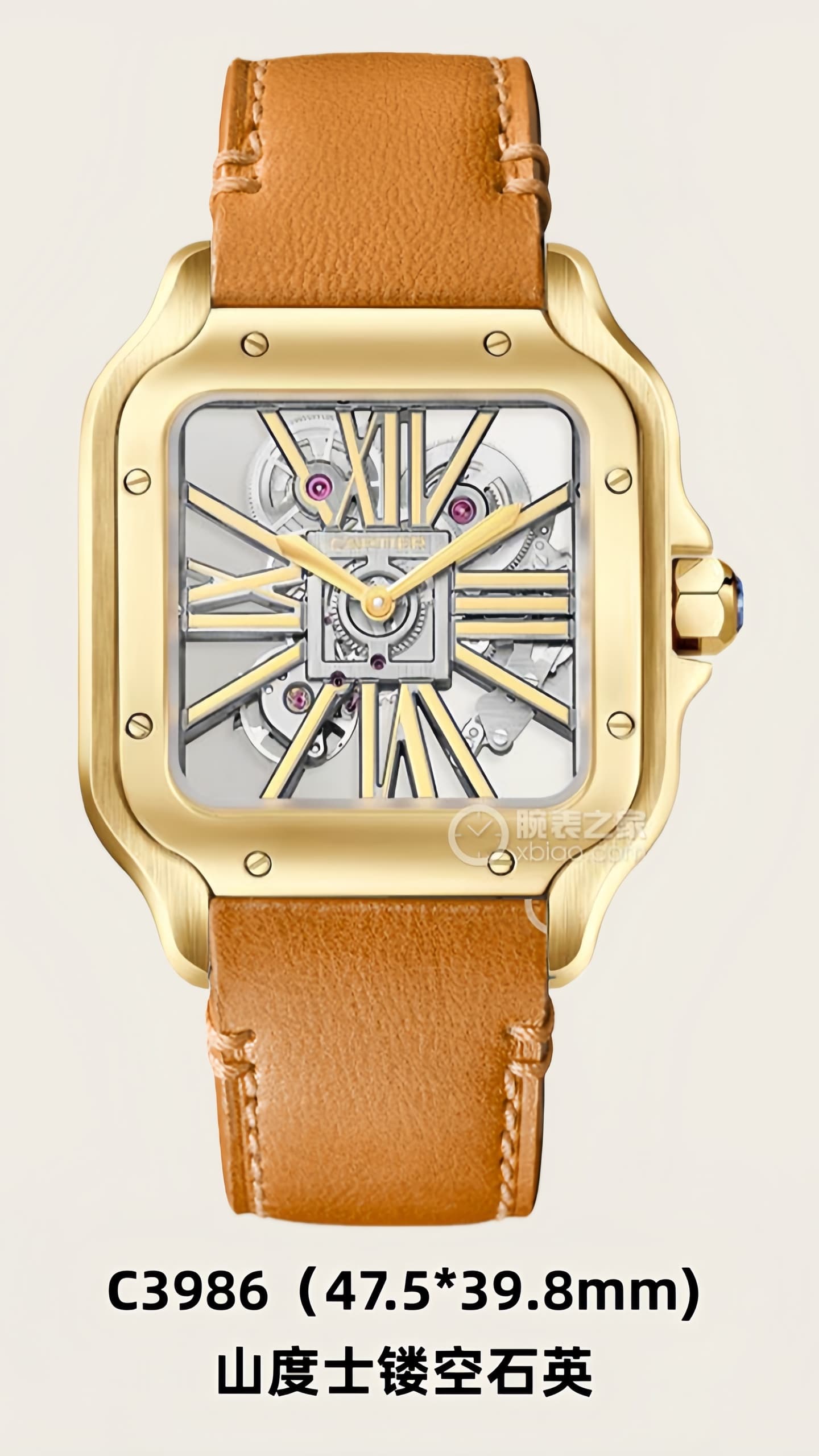 Luxury Watch Product
