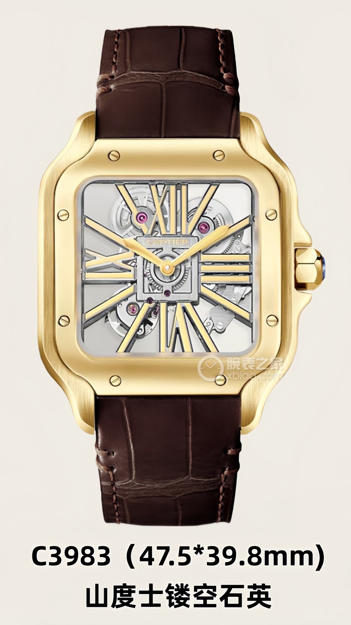 Luxury Watch Product
