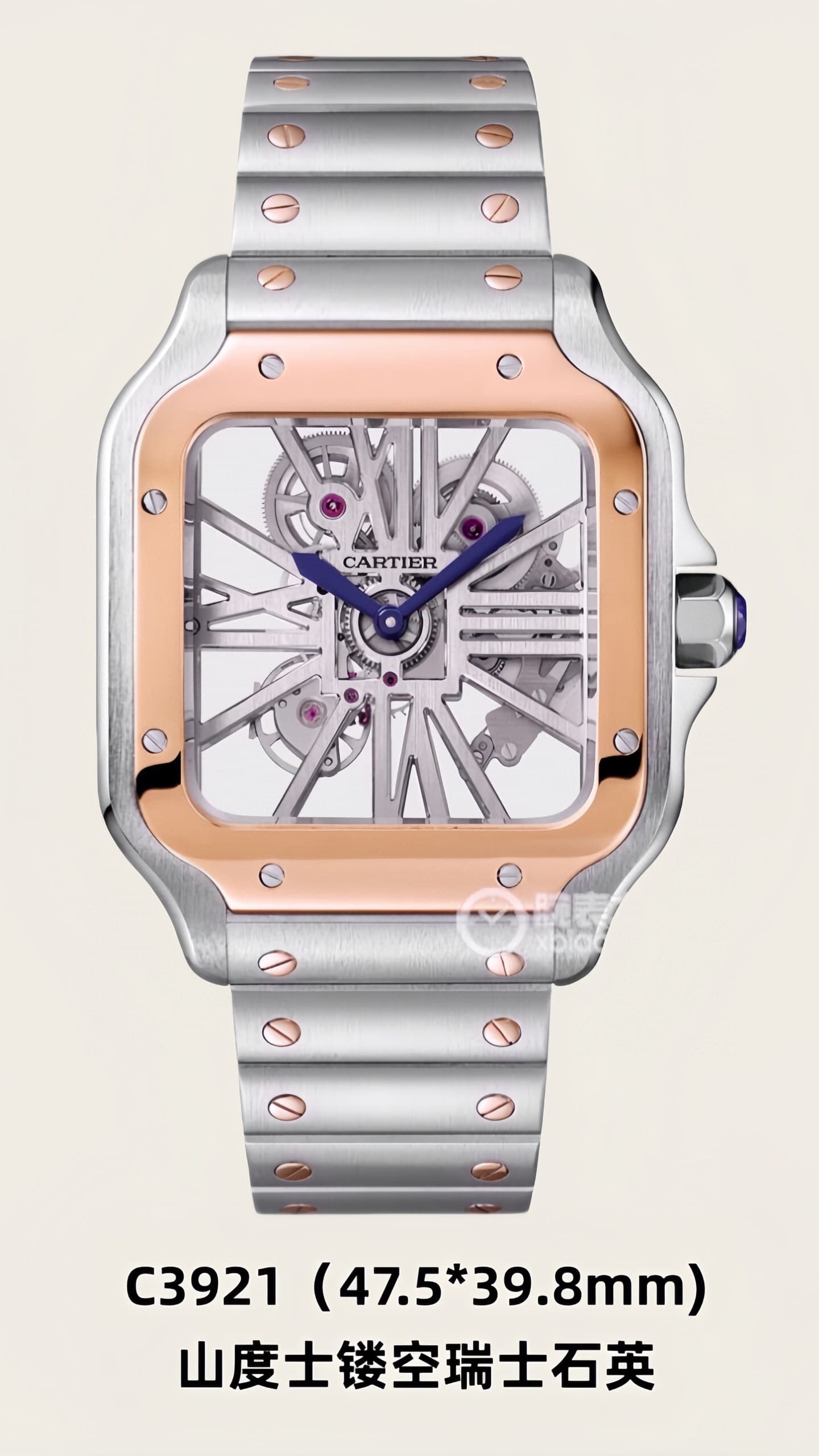 Luxury Watch Product