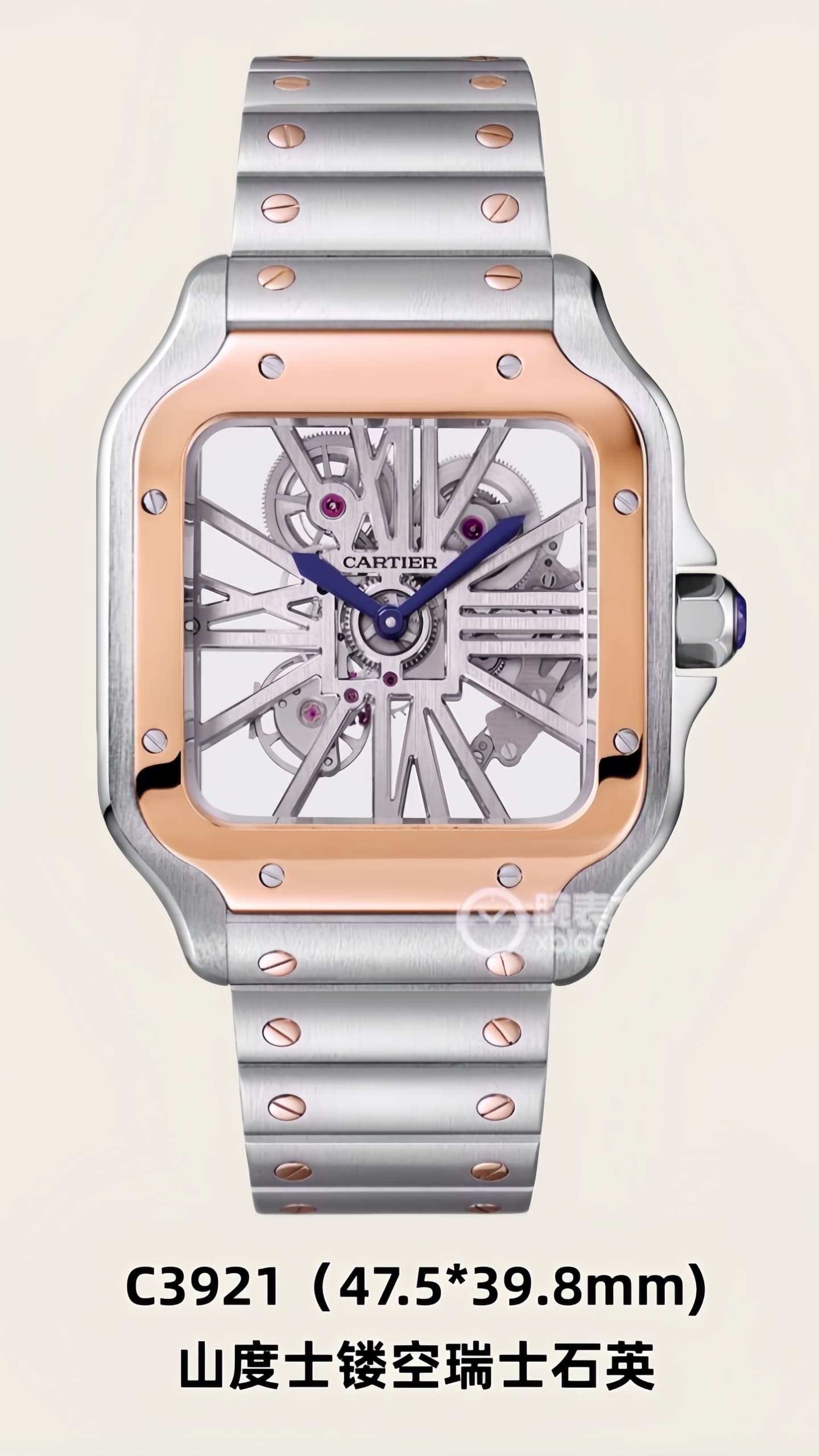 Luxury Watch Product
