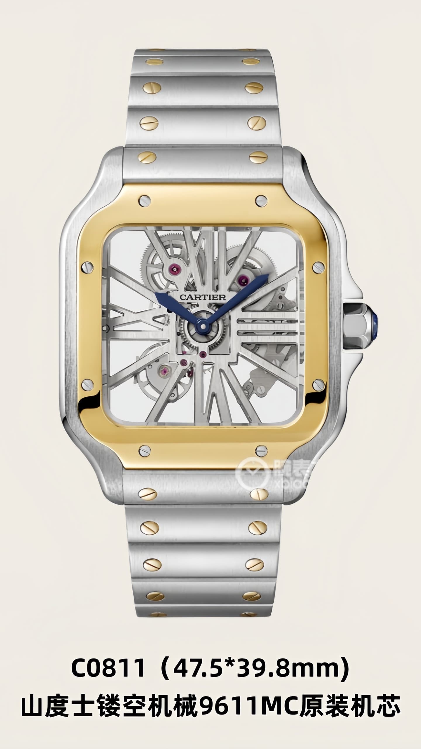 Luxury Watch Product