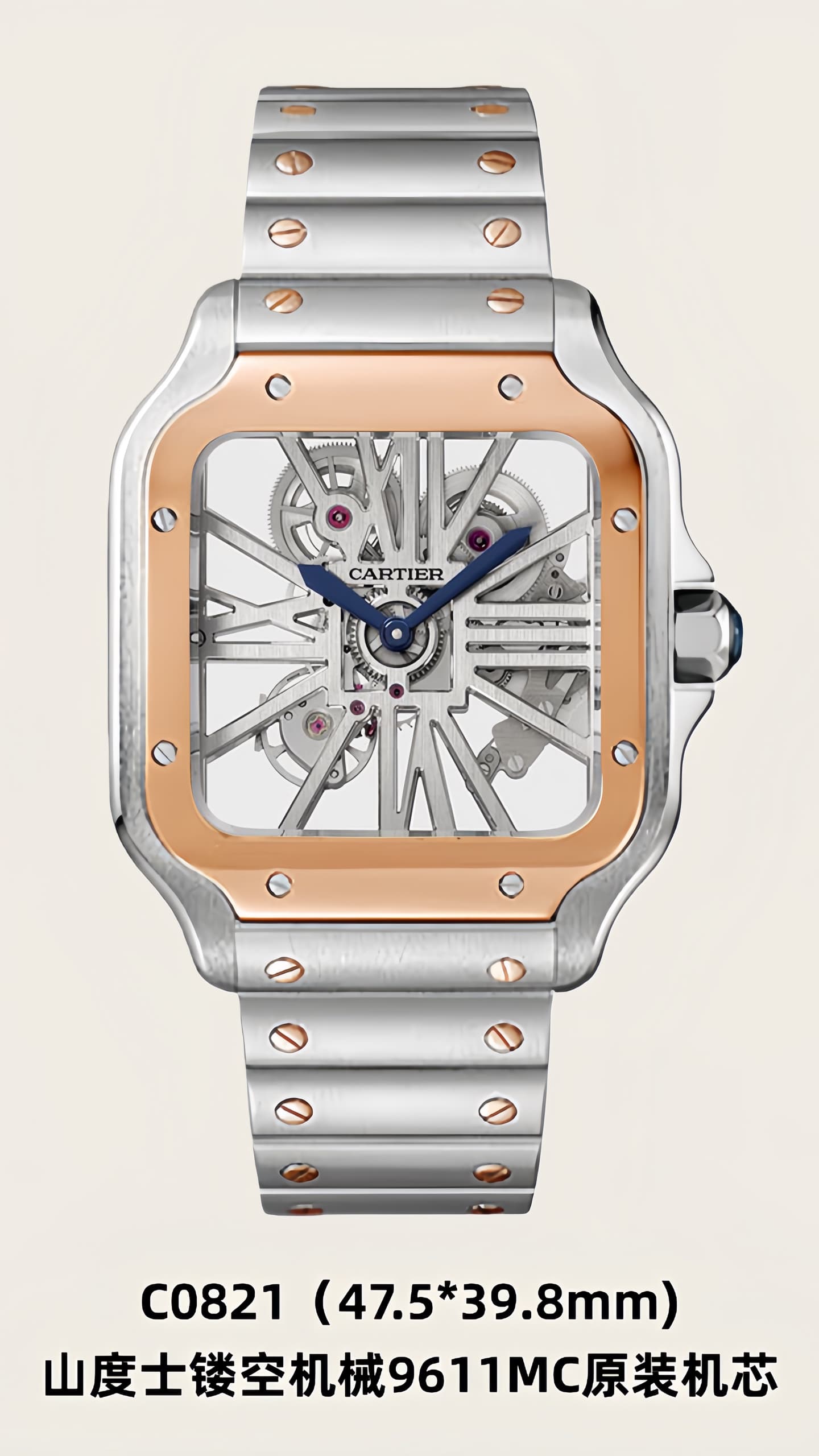 Luxury Watch Product