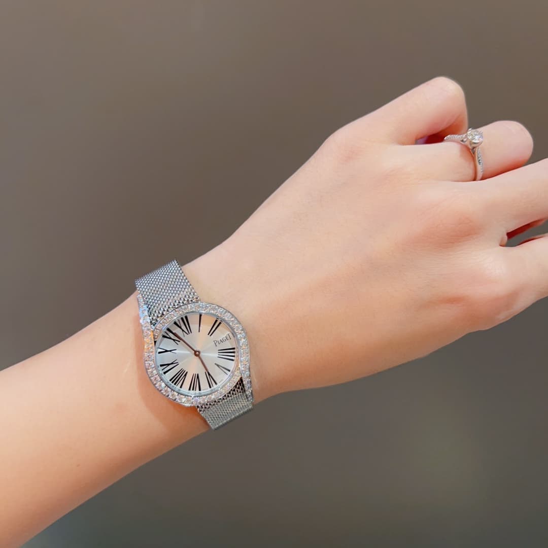 Luxury Watch Belt