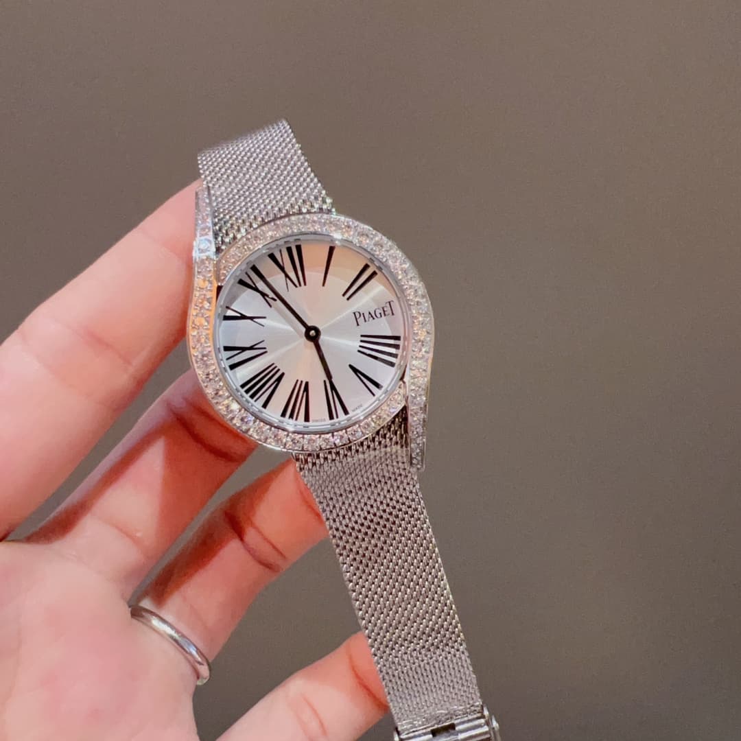 Luxury Watch Belt