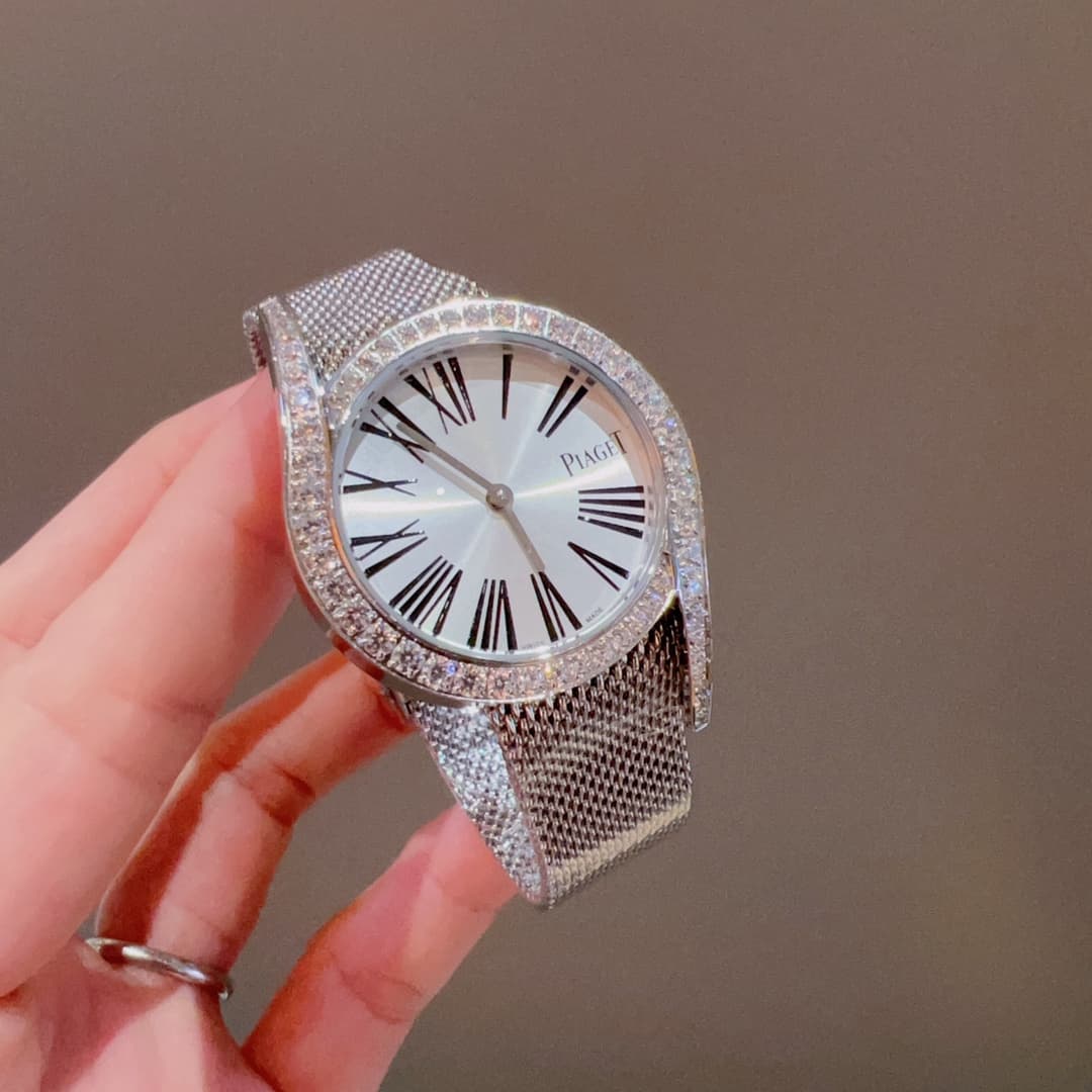 Luxury Watch Belt