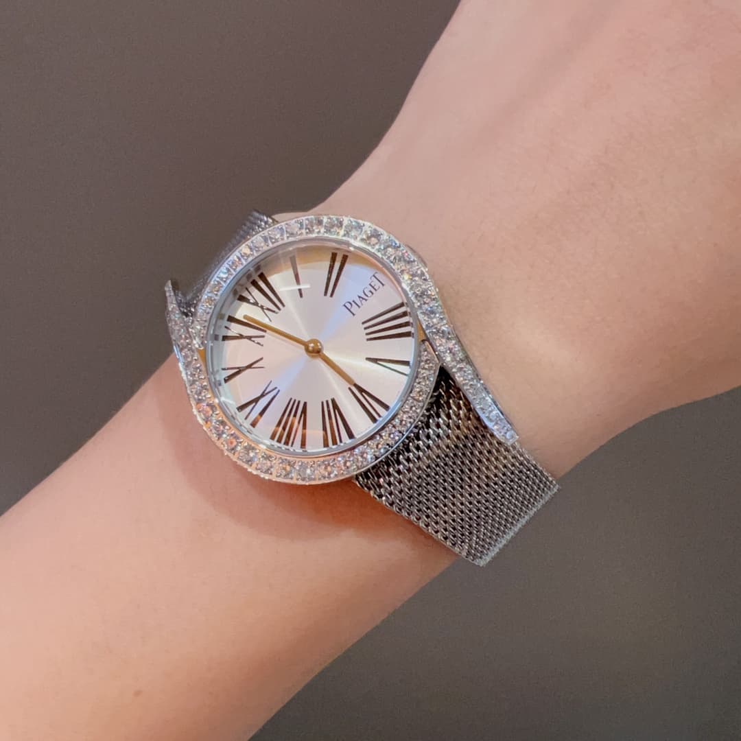 Luxury Watch Belt