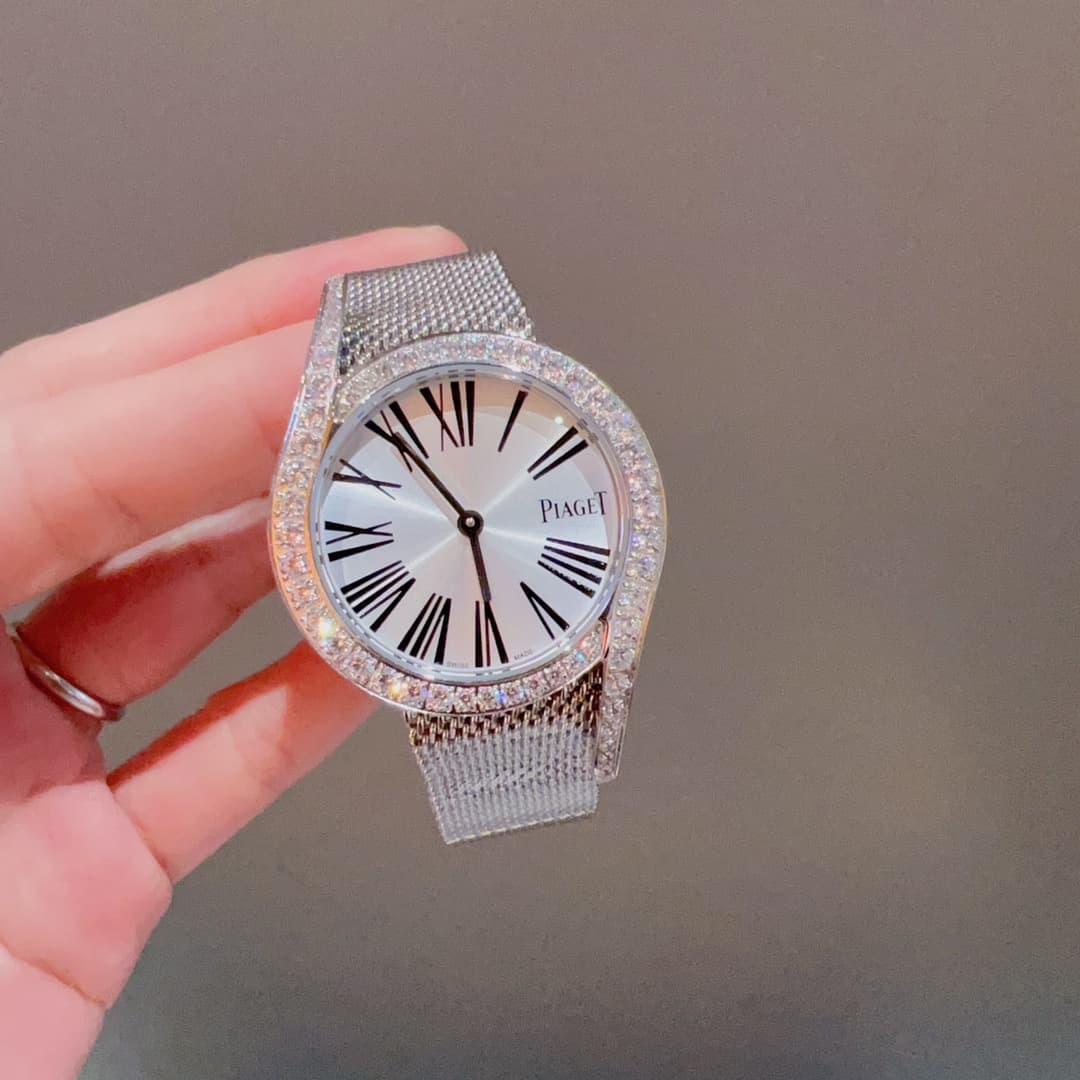 Luxury Watch Belt