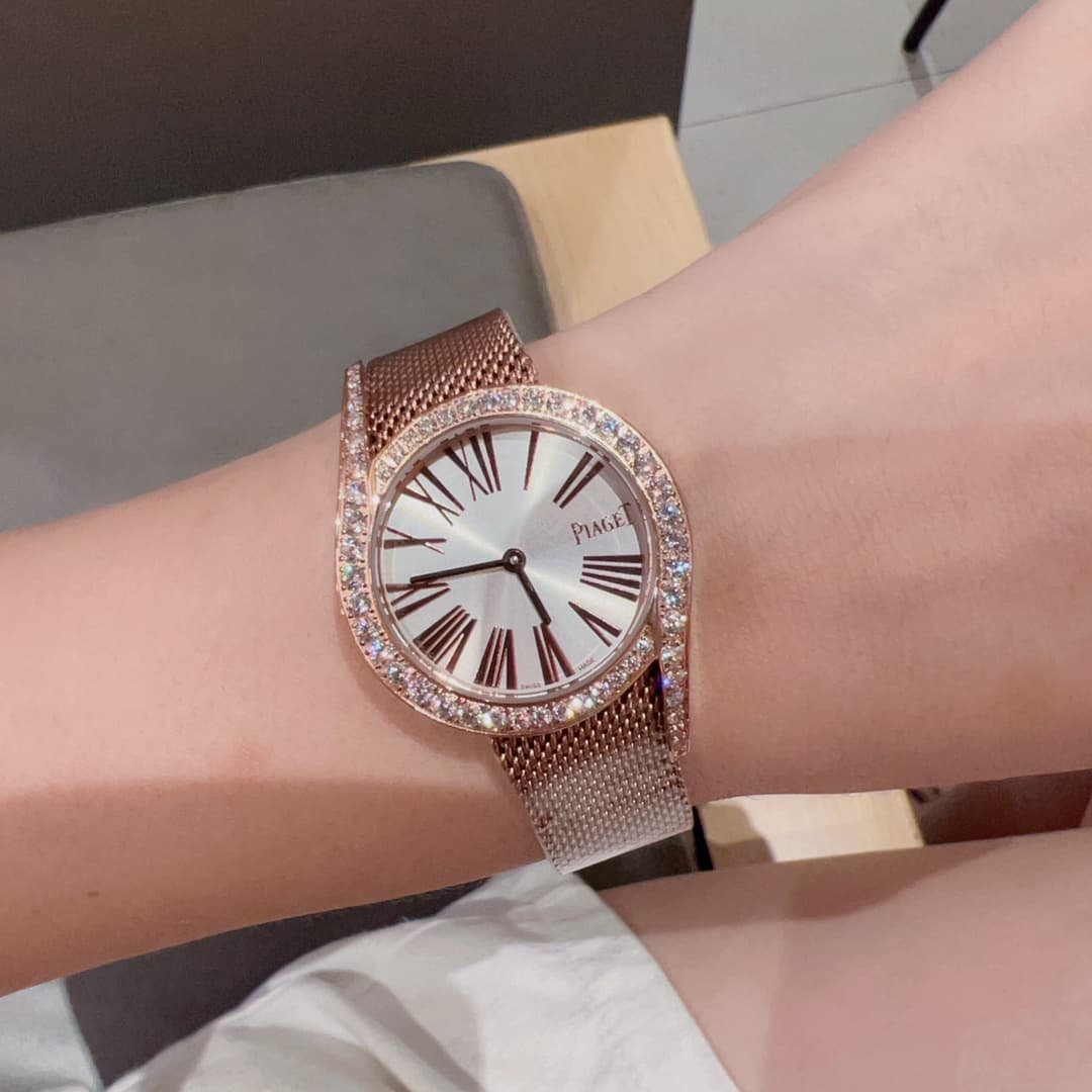 Luxury Watch Belt