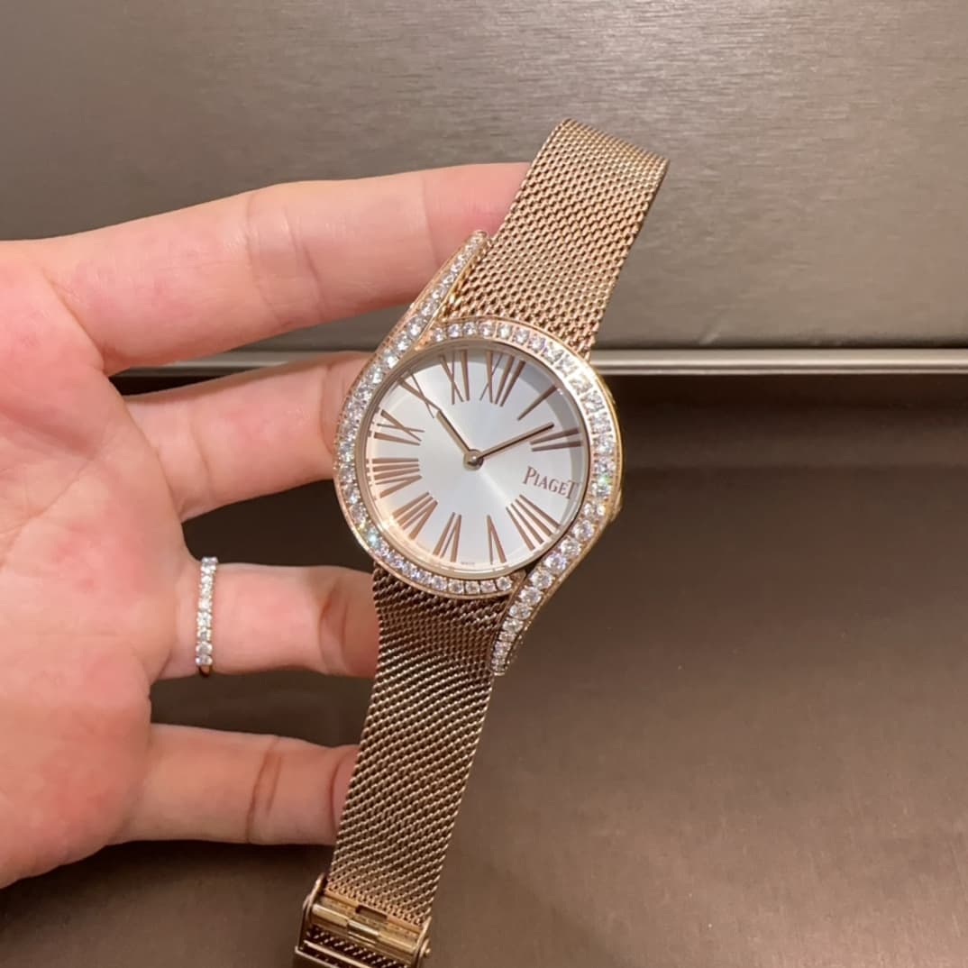 Luxury Watch Belt