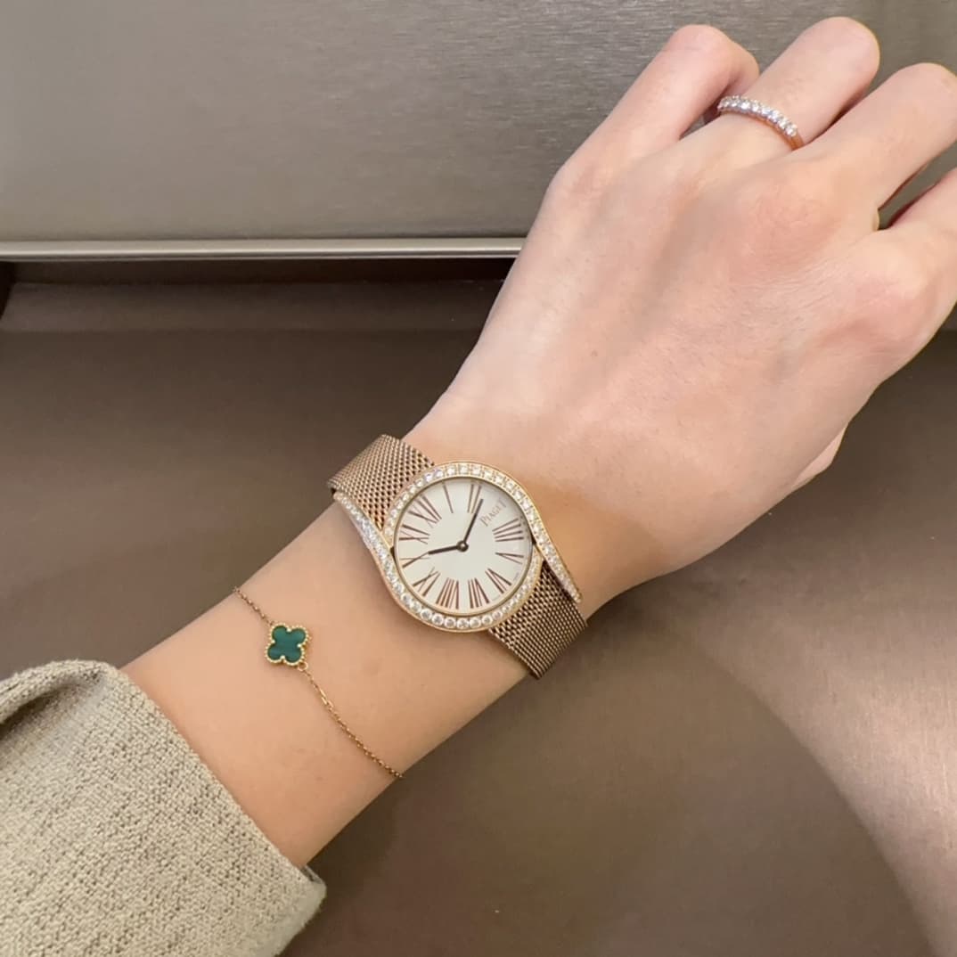 Luxury Watch Belt