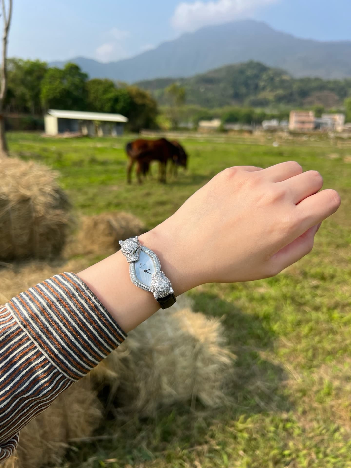 Cartier White Watch