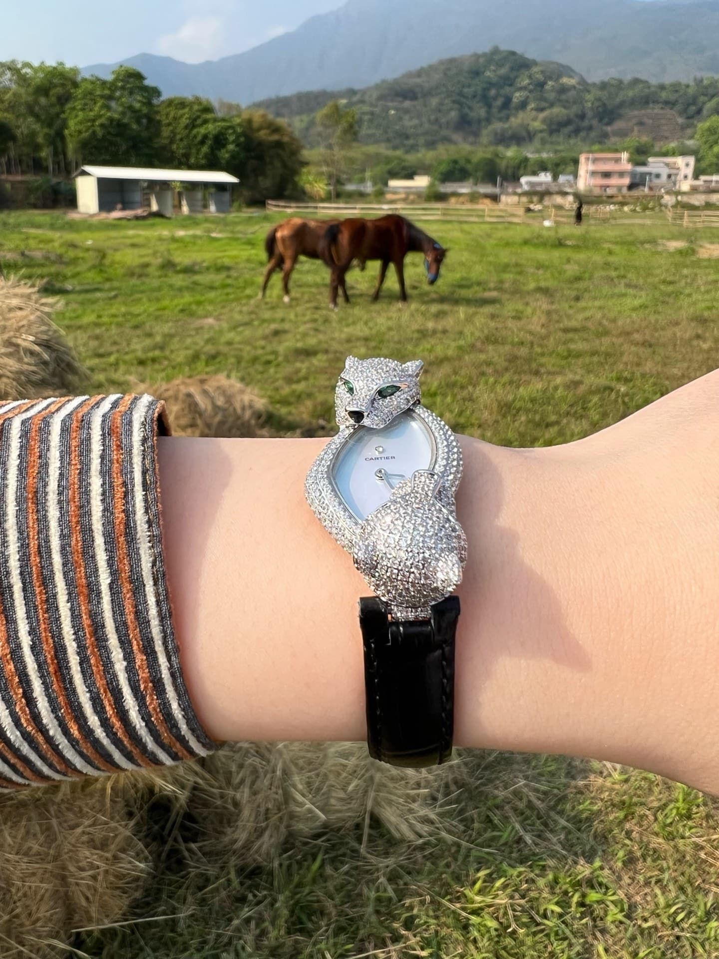 Cartier White Watch
