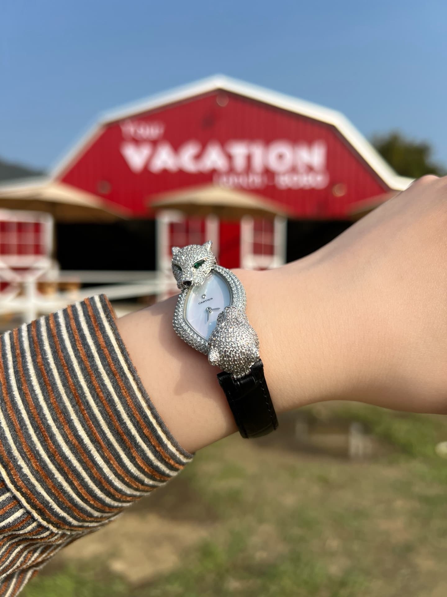 Cartier White Watch