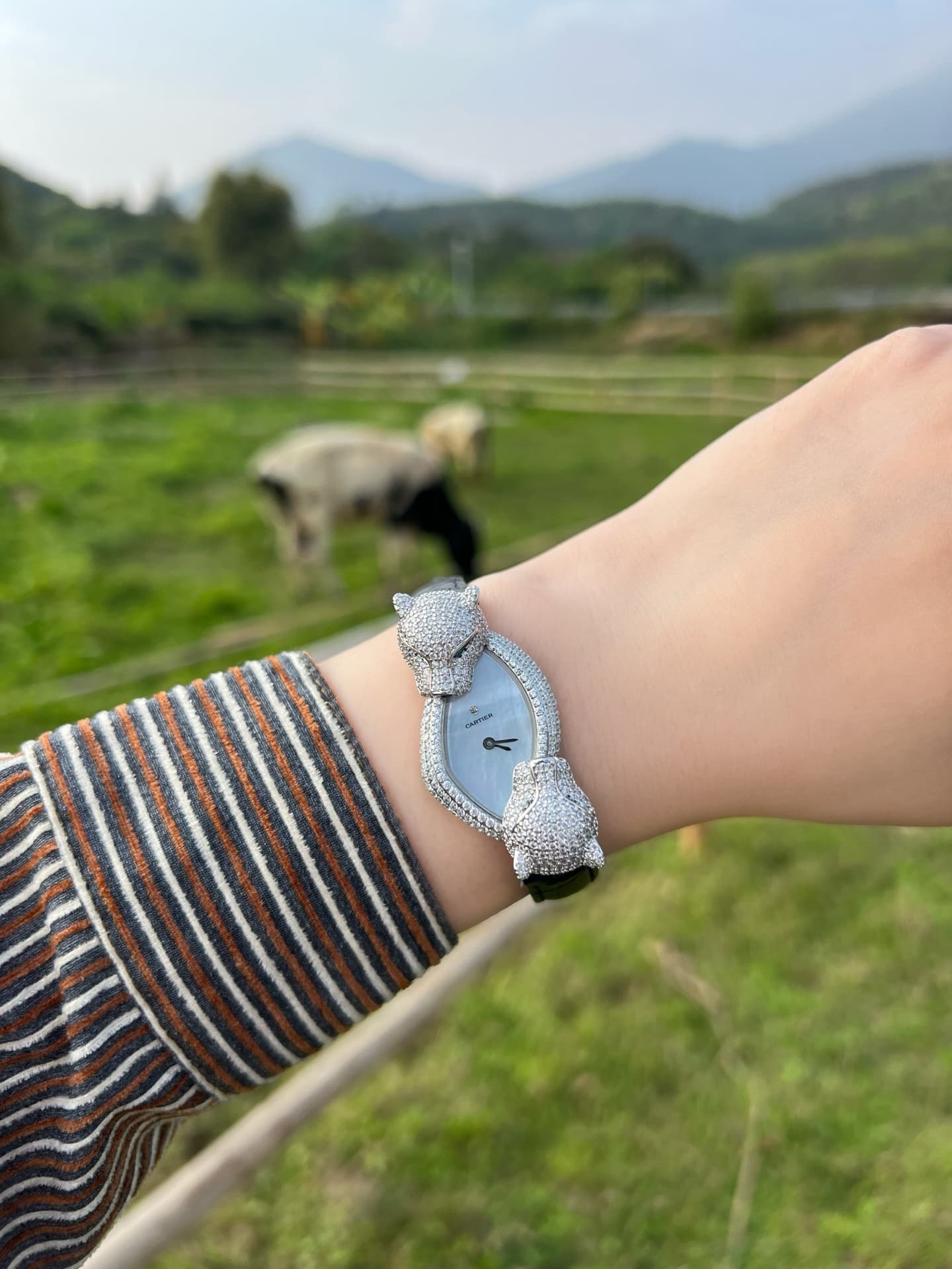 Cartier White Watch
