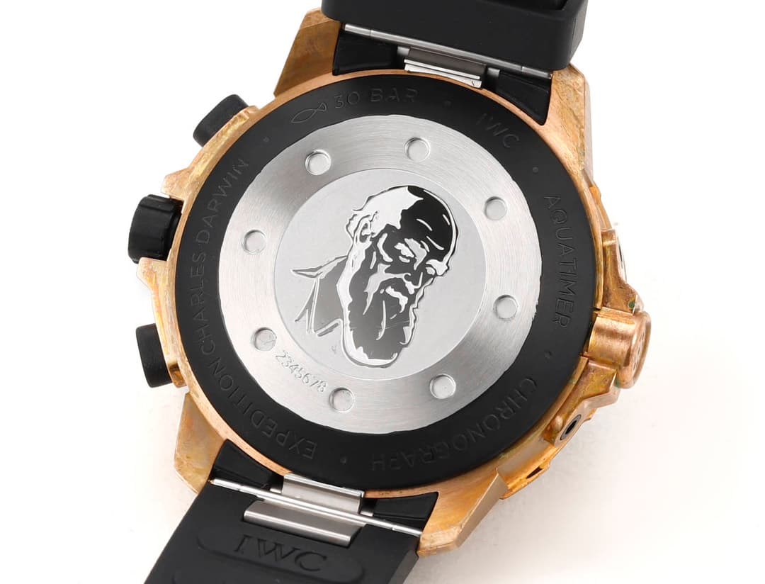 IWC Black Watch IW379503