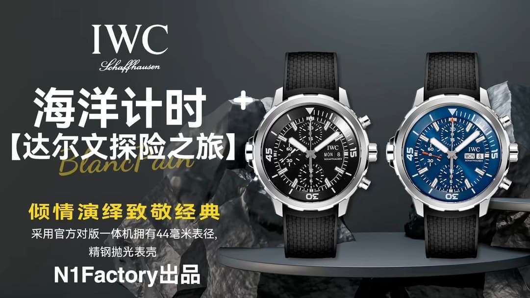 IWC Black Watch