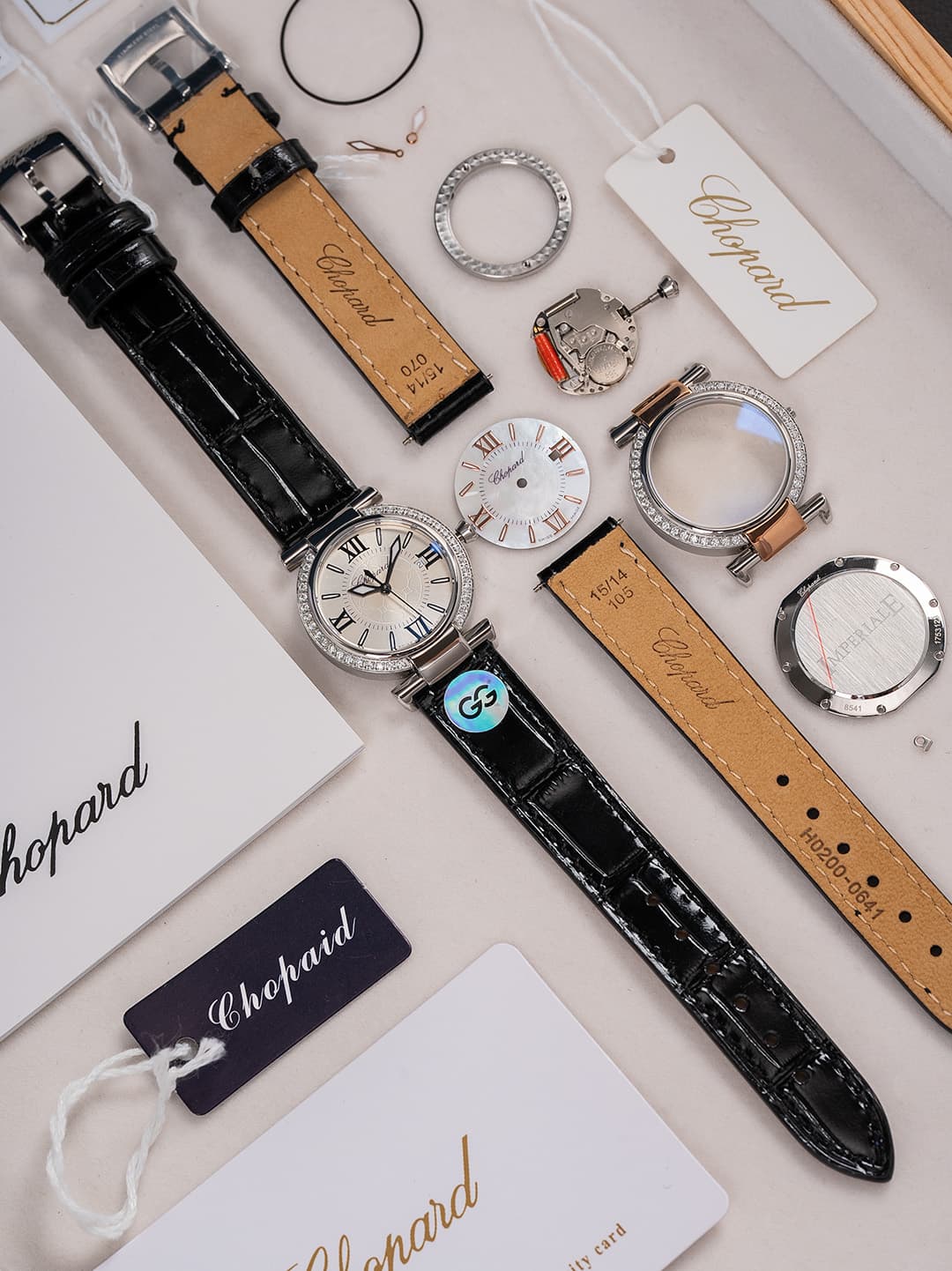 Luxury Watch Watch