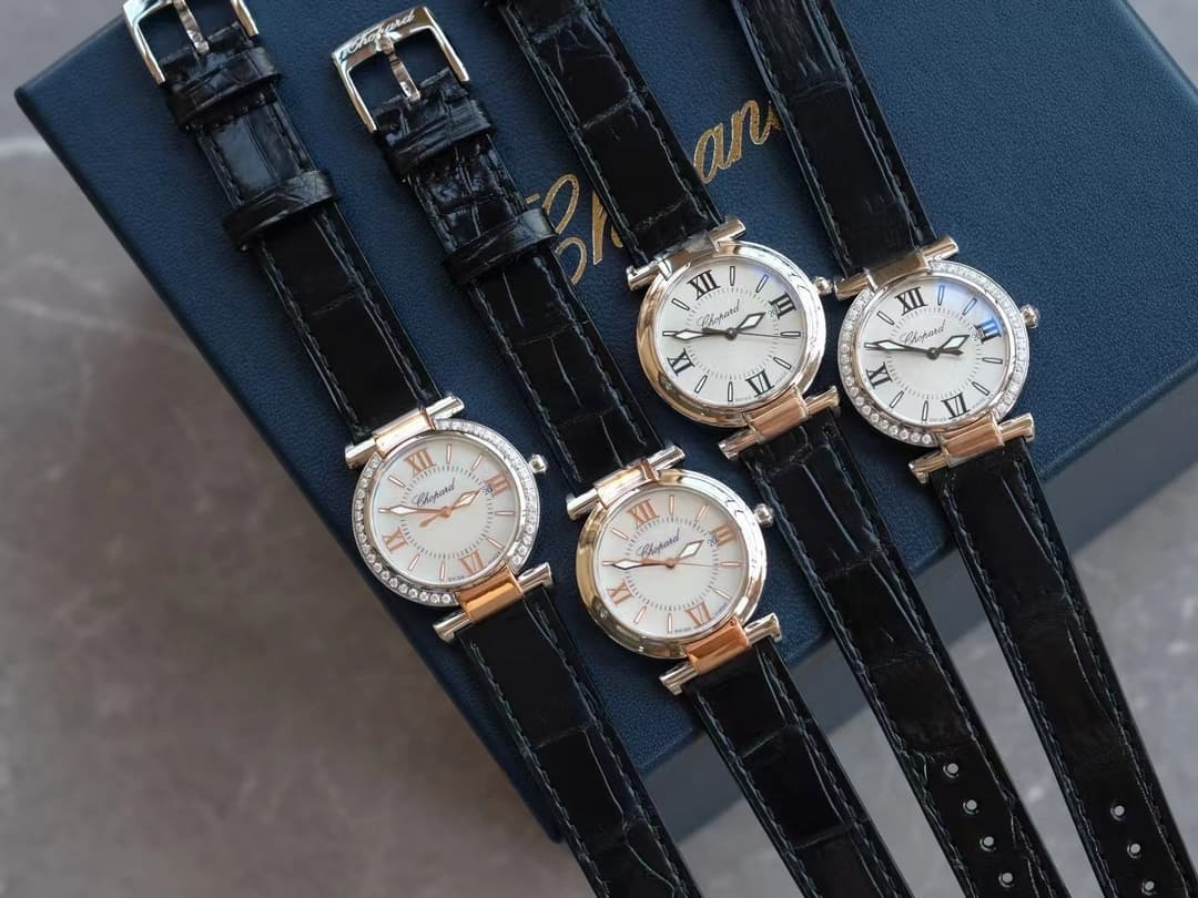 Luxury Watch Bag