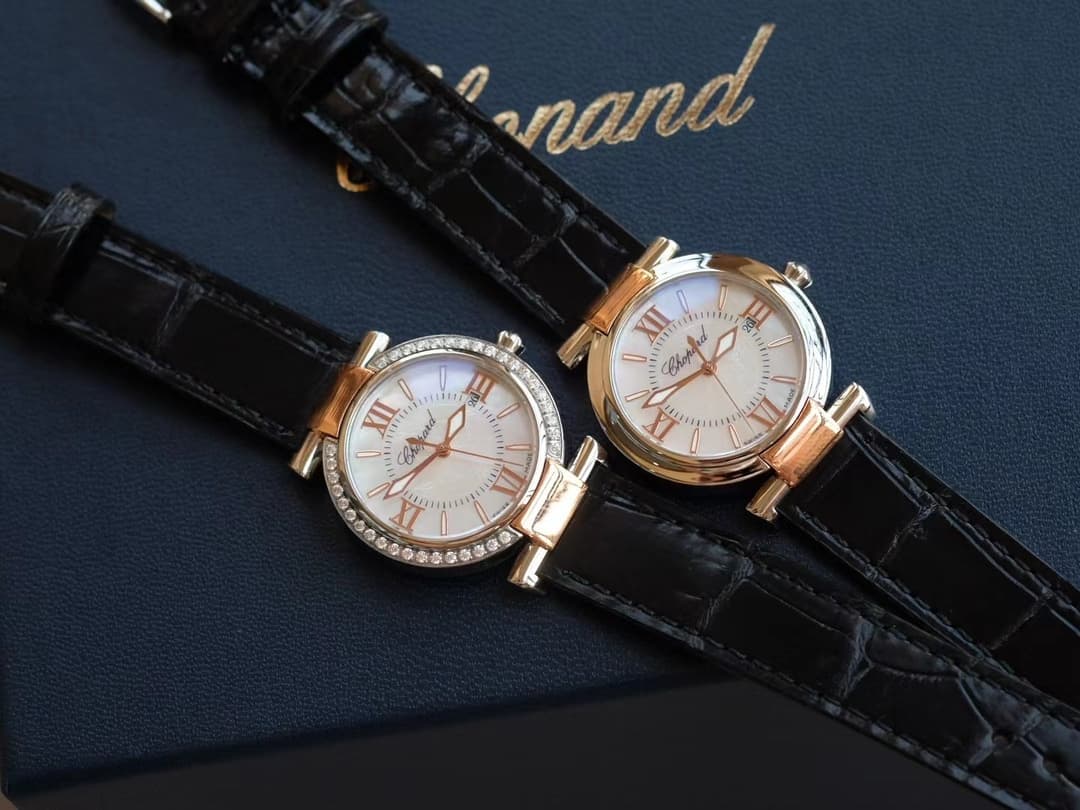 Luxury Watch Bag