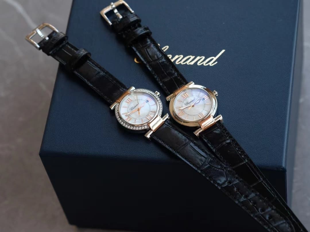 Luxury Watch Bag