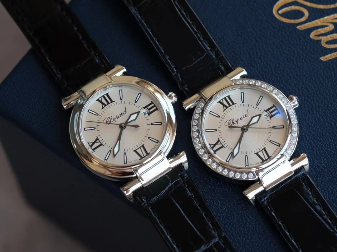 Luxury Watch Bag