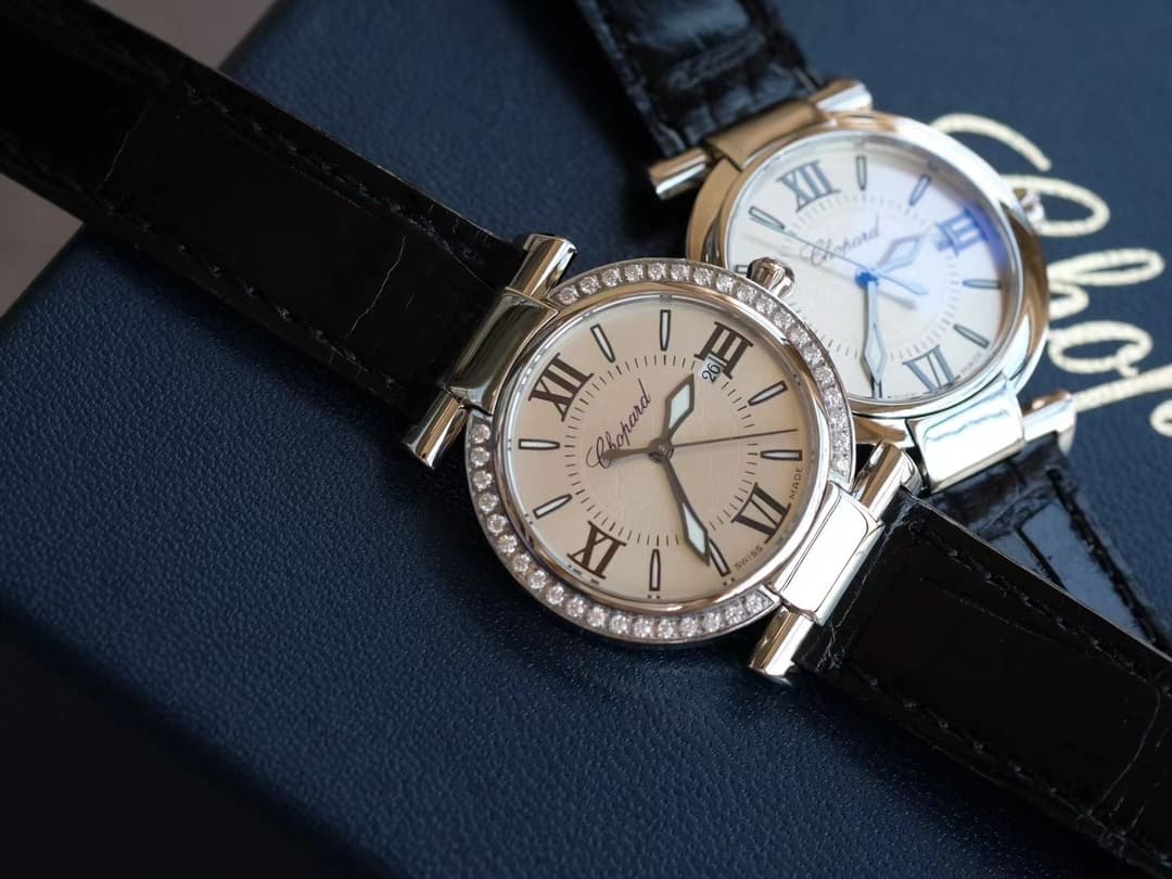 Luxury Watch Bag