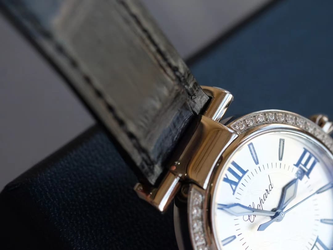 Luxury Watch Blue Bag