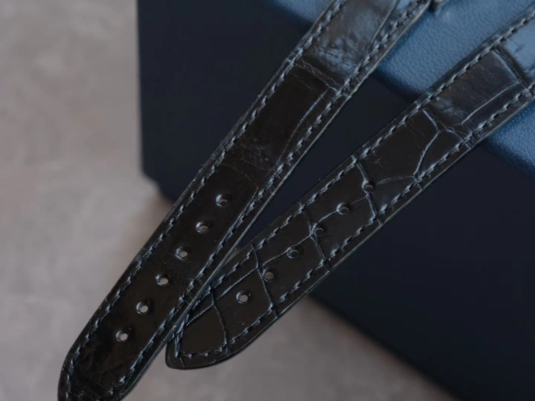 Luxury Watch Blue Bag