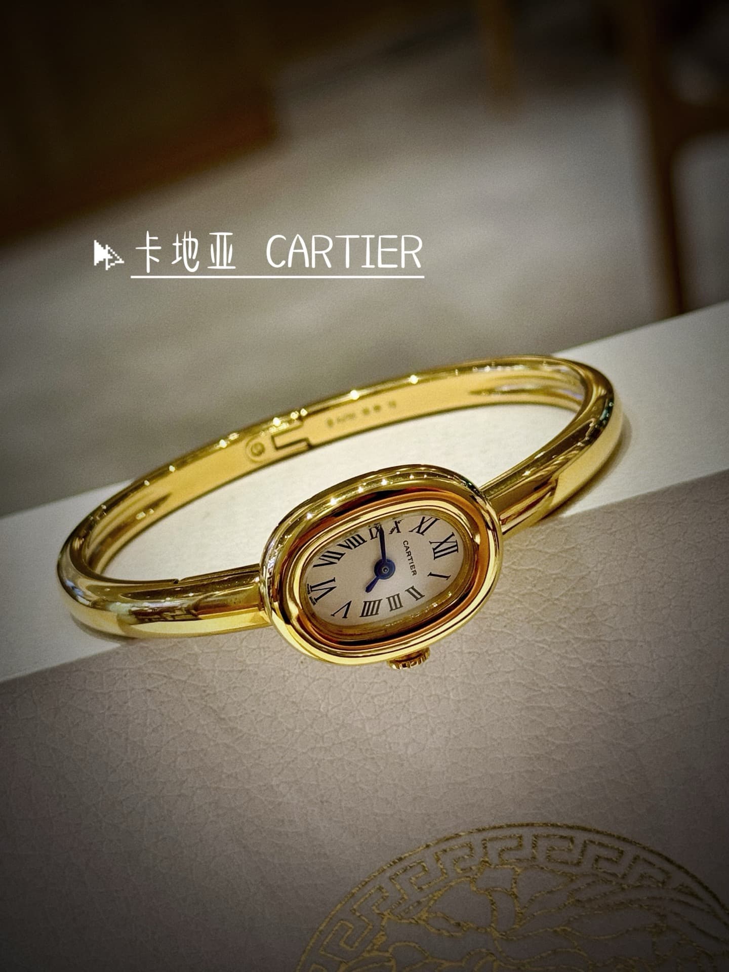 Cartier Blue Watch