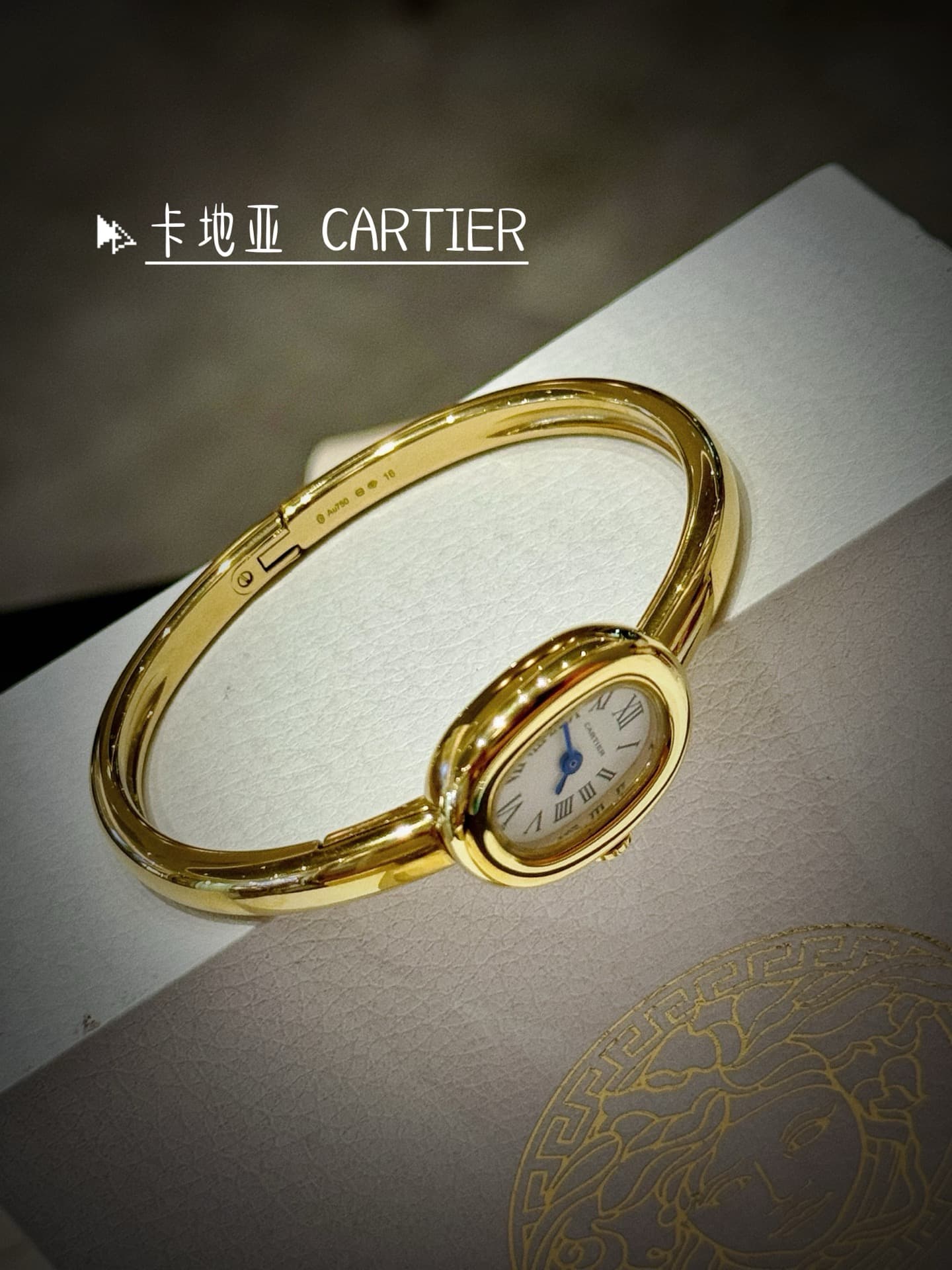 Cartier Blue Small Bag