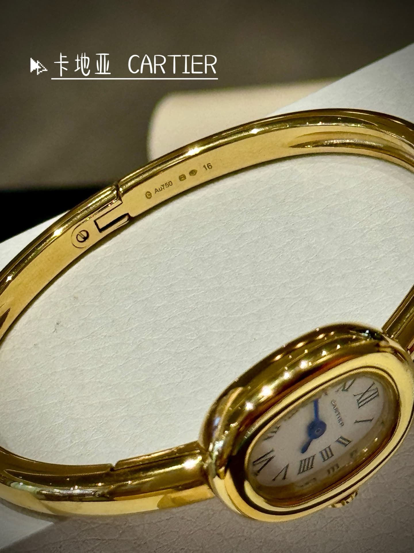 Cartier Blue Small Bag