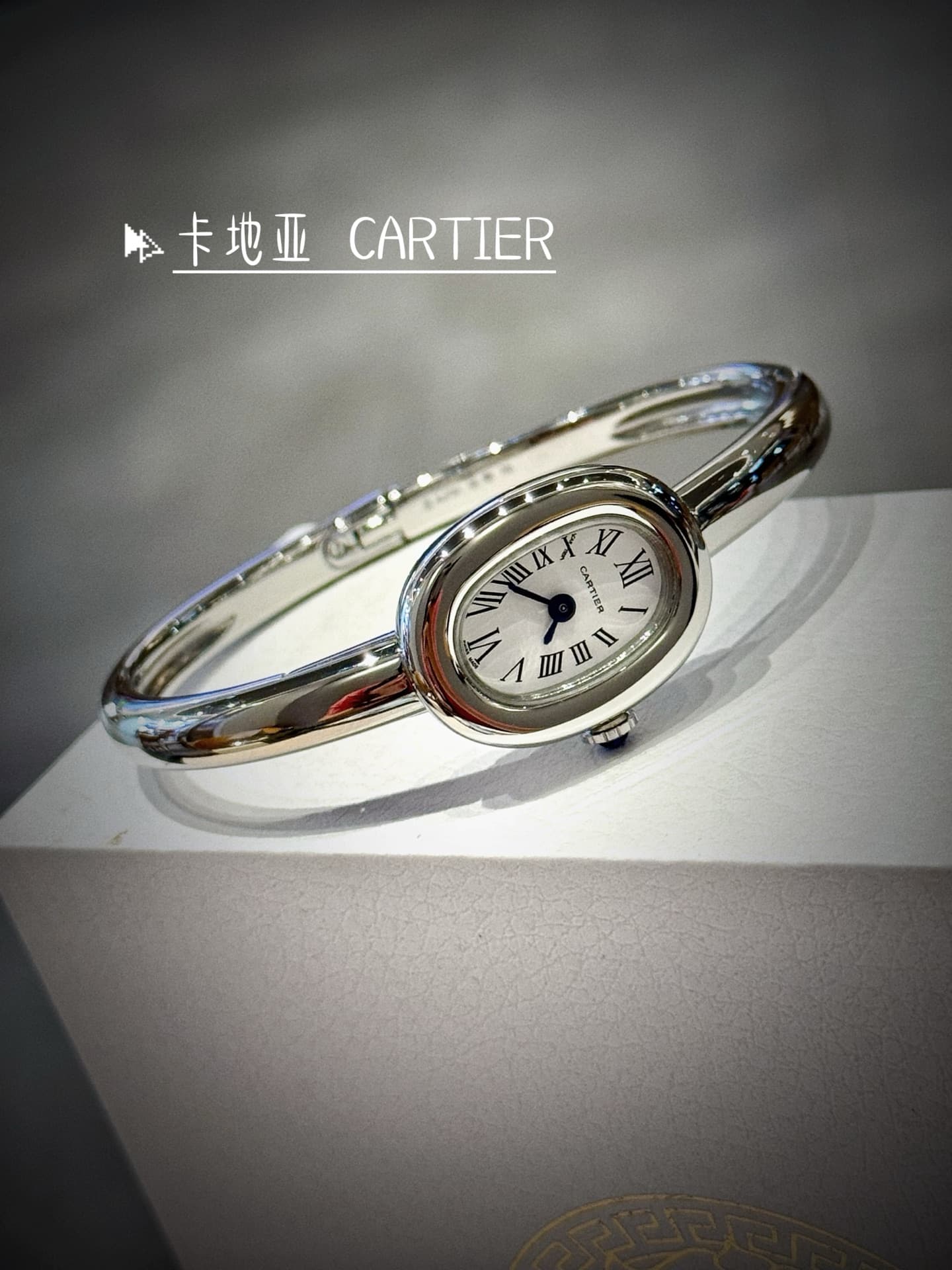 Cartier Blue Watch