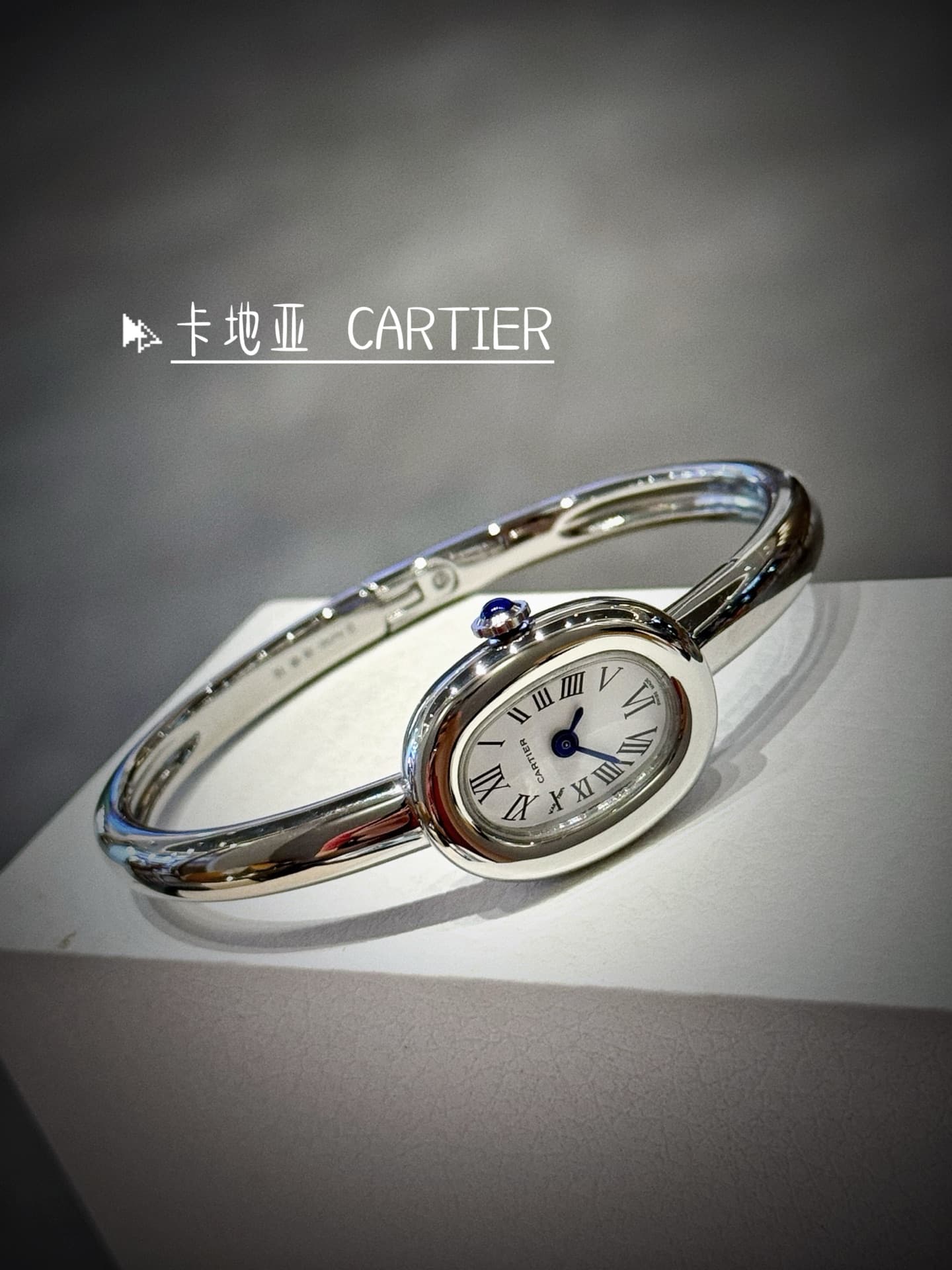 Cartier Blue Small Bag