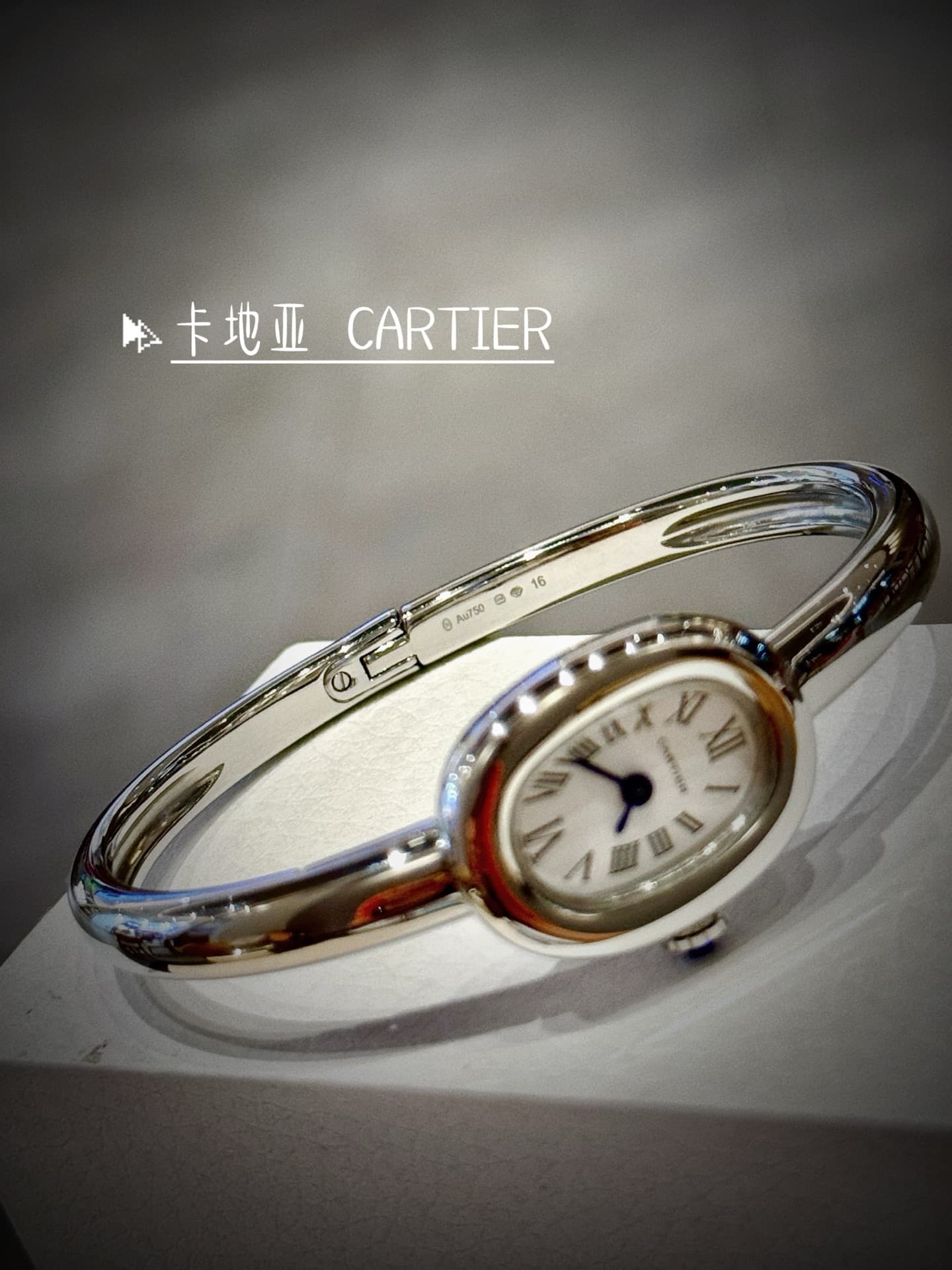 Cartier Blue Small Bag