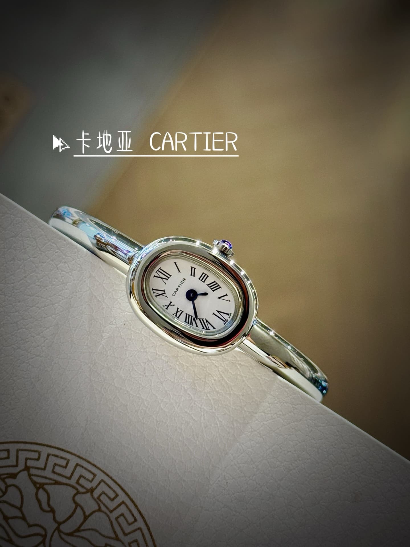 Cartier Blue Small Bag