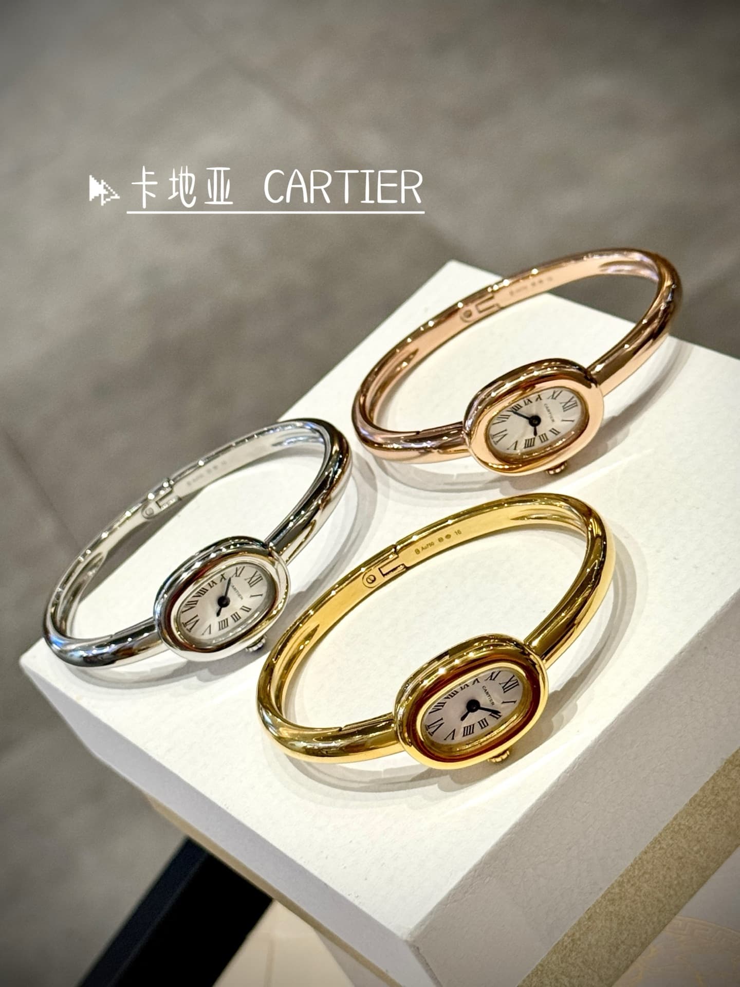 Cartier Blue Small Bag