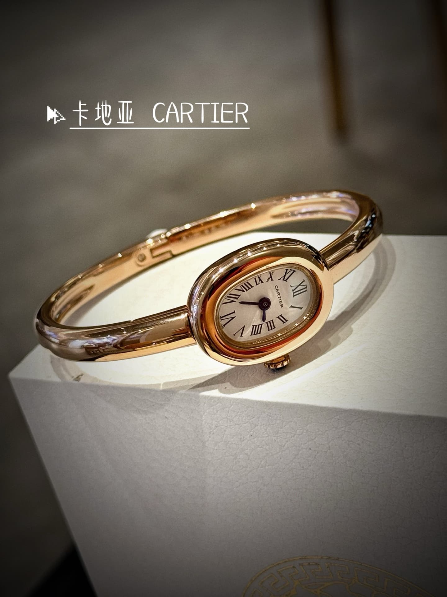Cartier Blue Watch