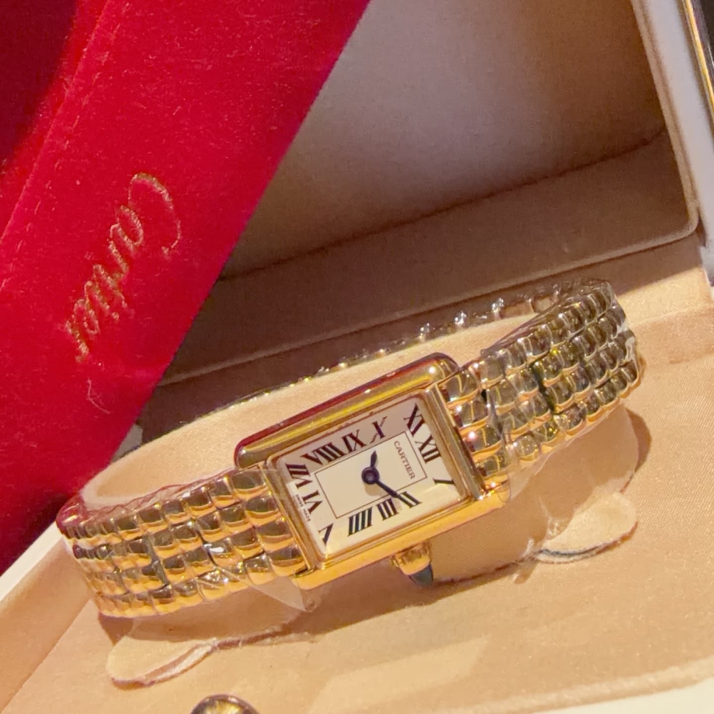 Cartier Mini Bag