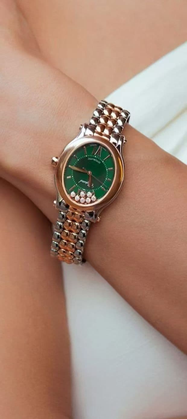 Luxury Watch Belt