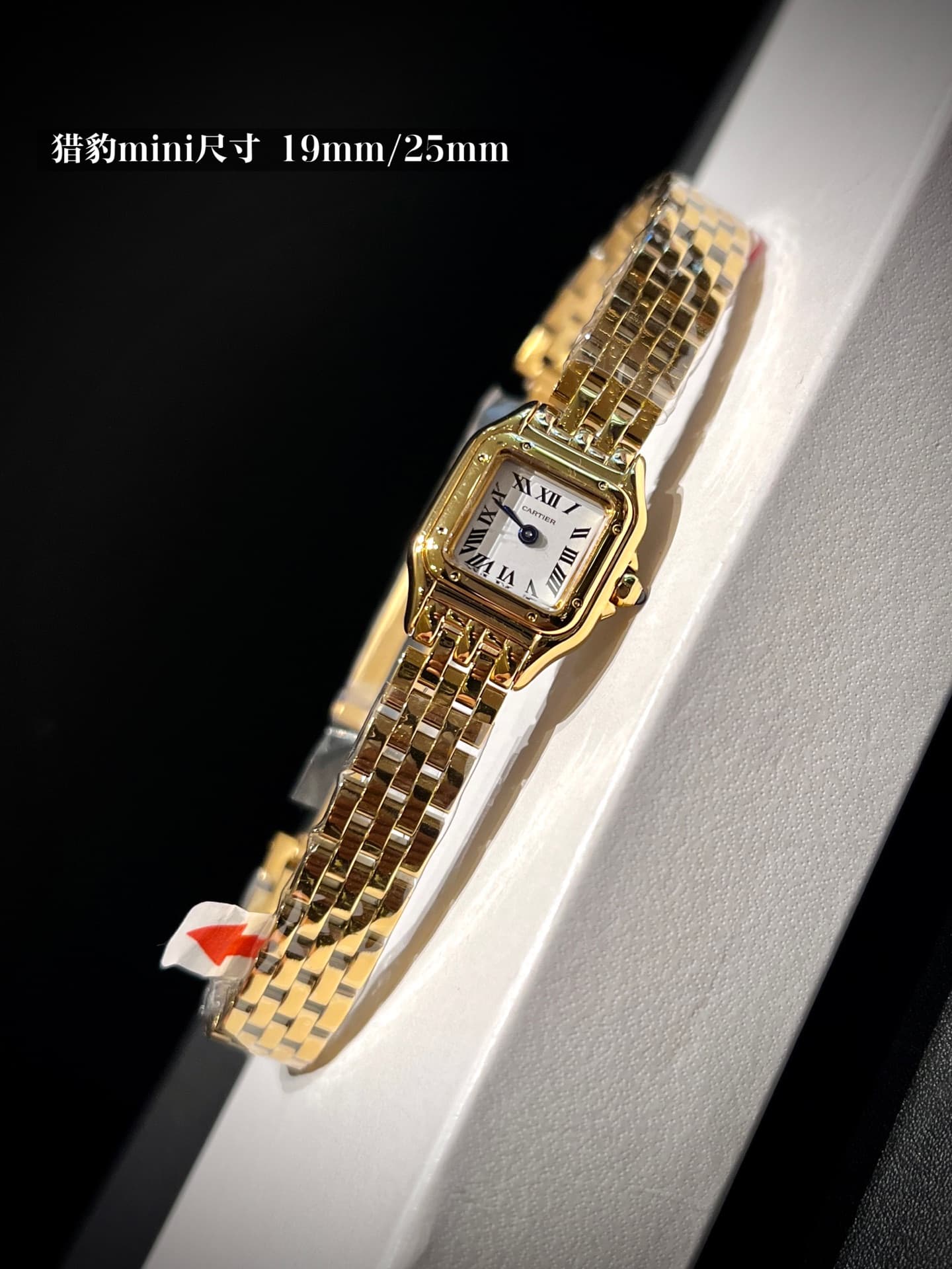 Cartier Blue Watch