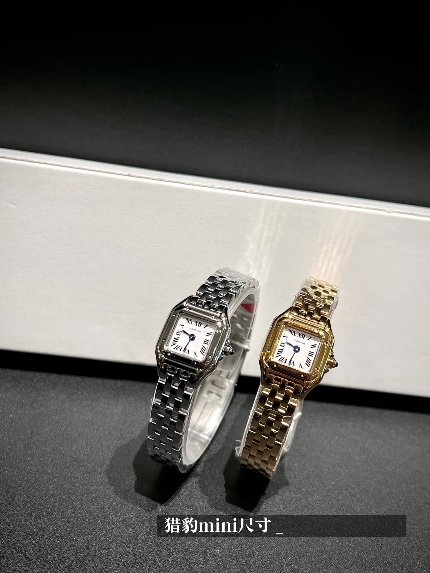 Cartier Blue Watch