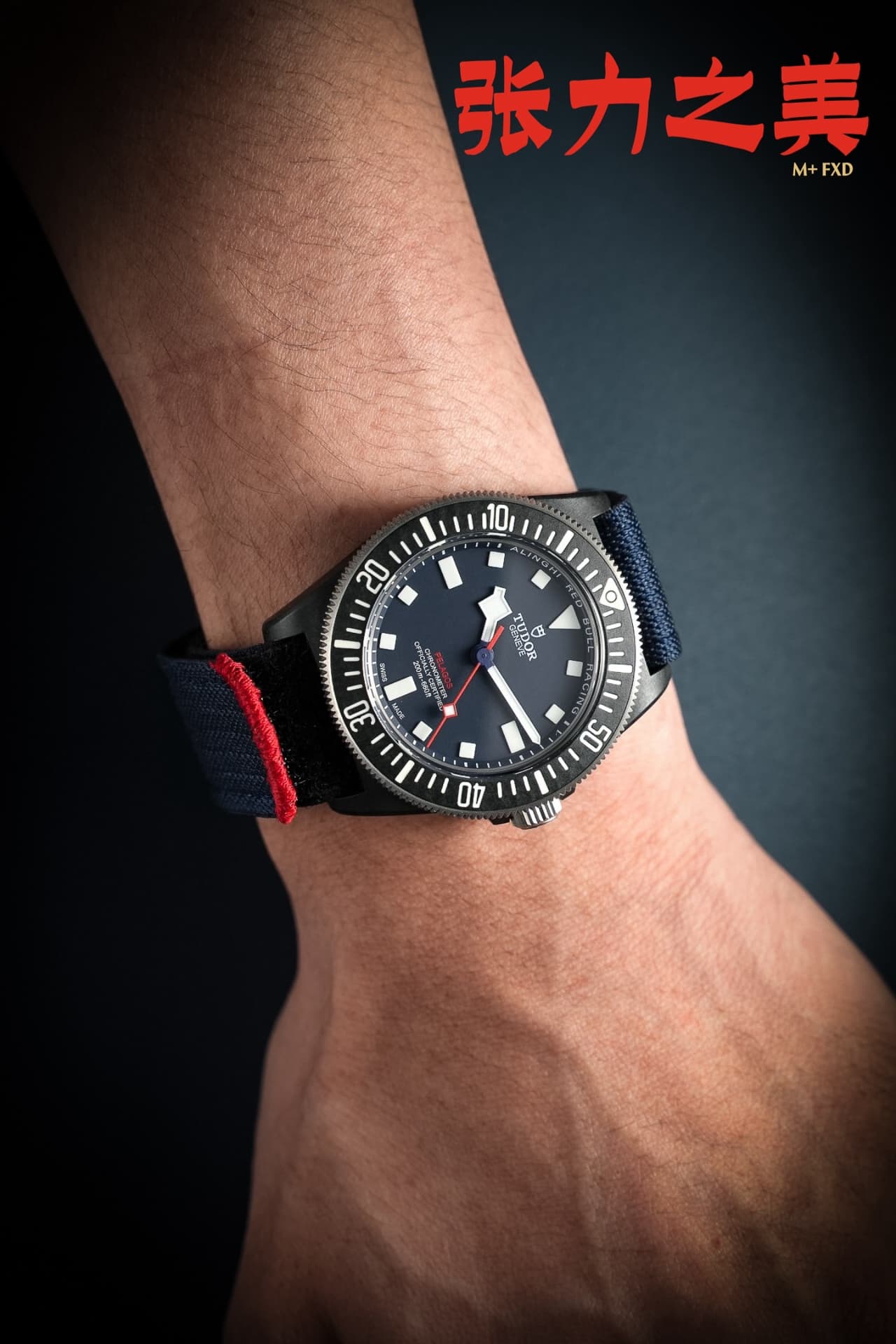 Tudor Watch