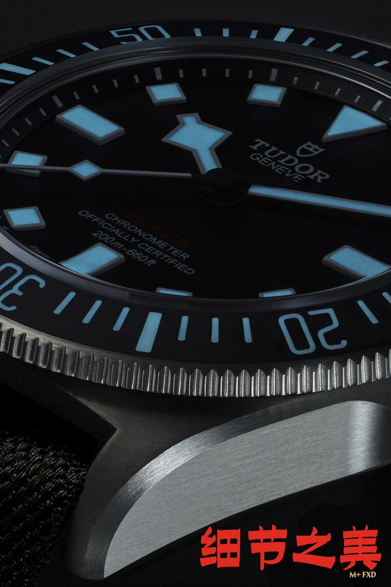 Luxury Watch Watch
