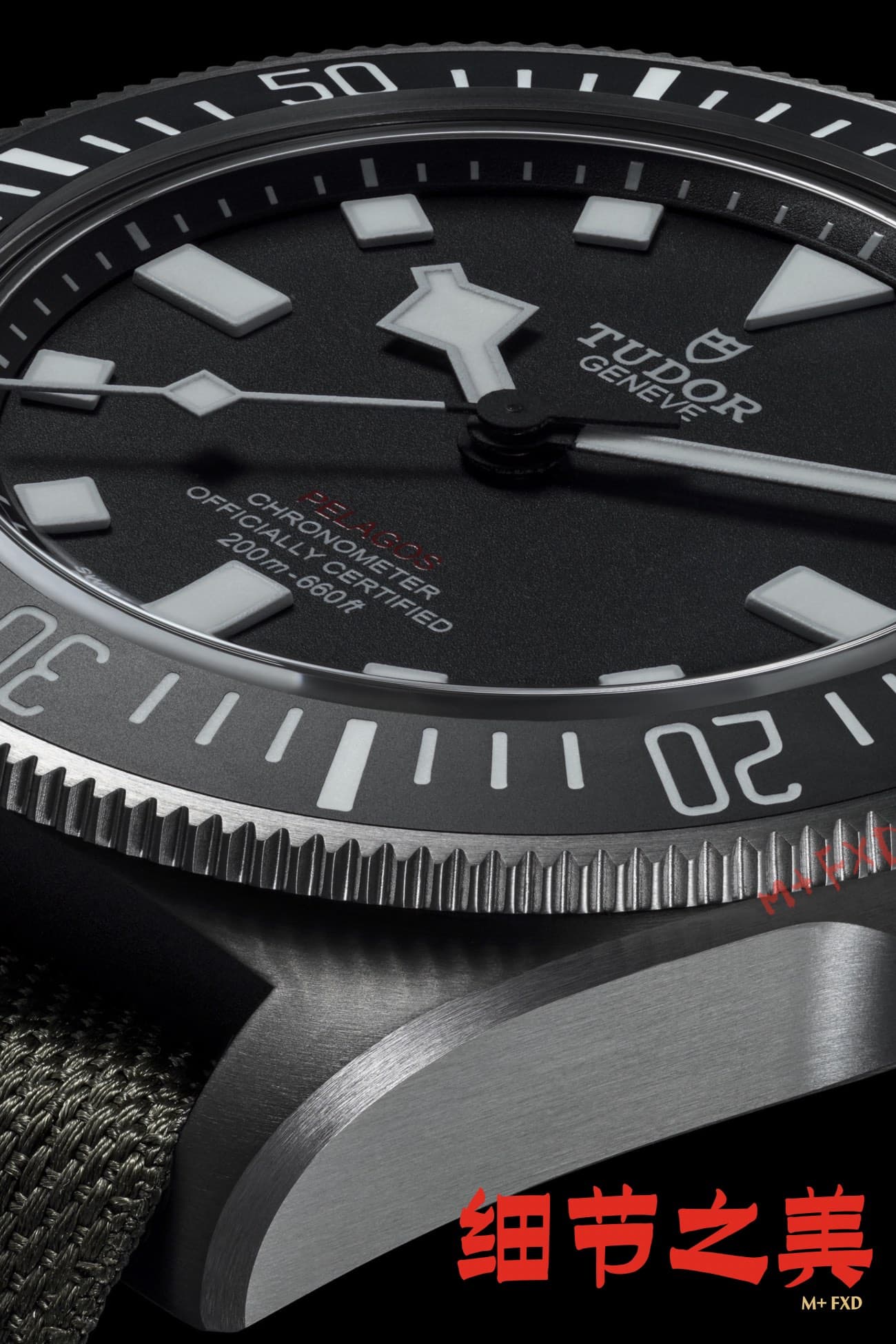 Luxury Watch Watch