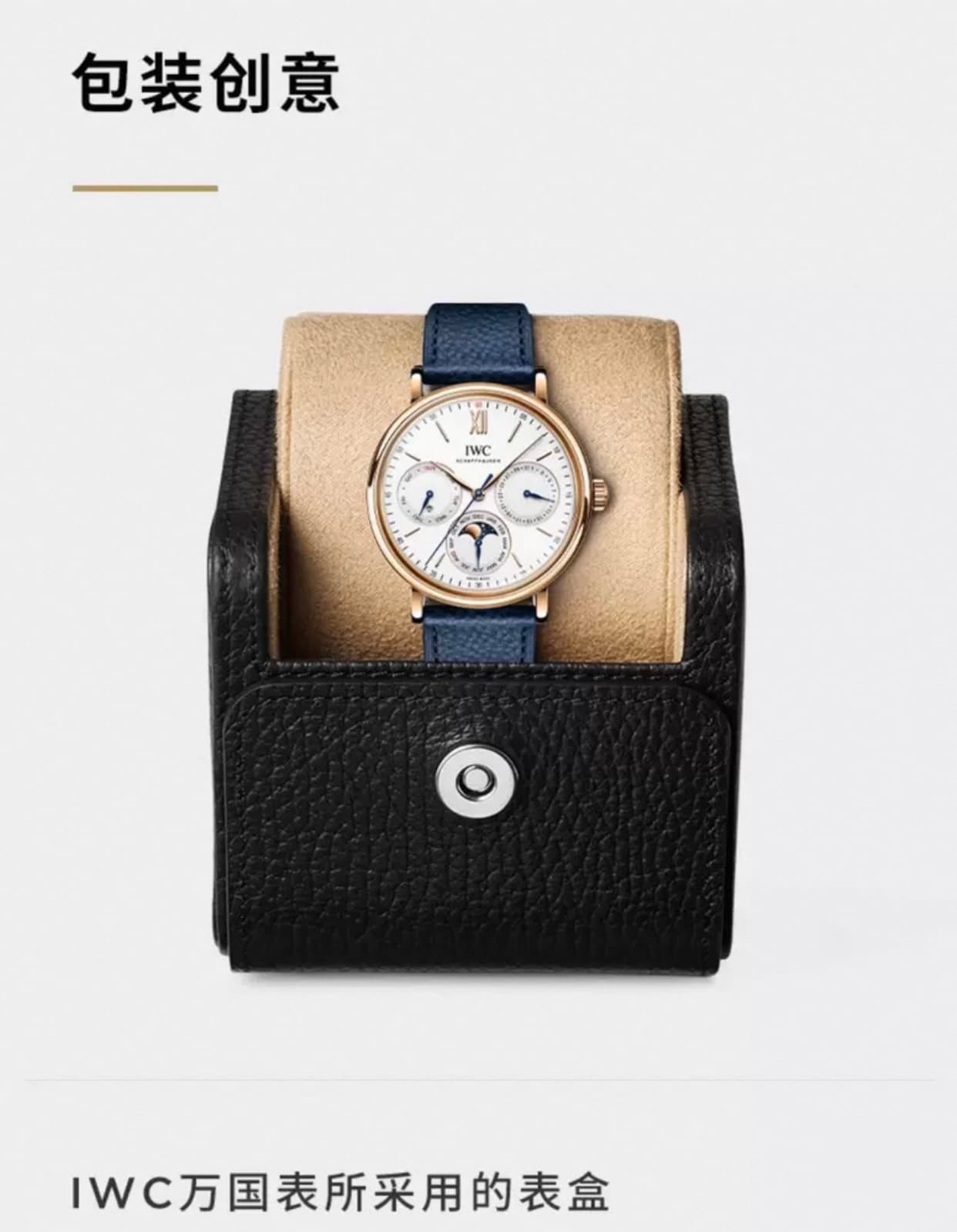 IWC Gold Watch